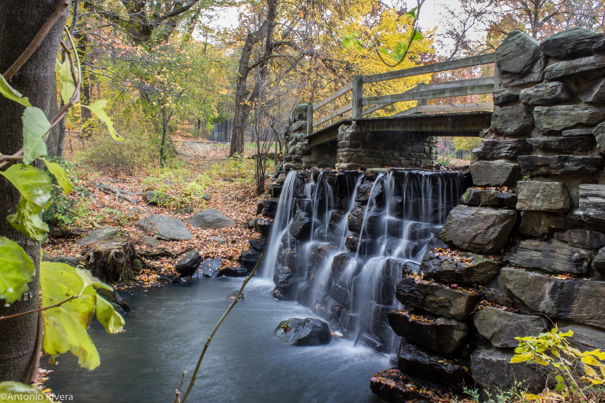 Tibbetts Brook Park - Yonkers, NY