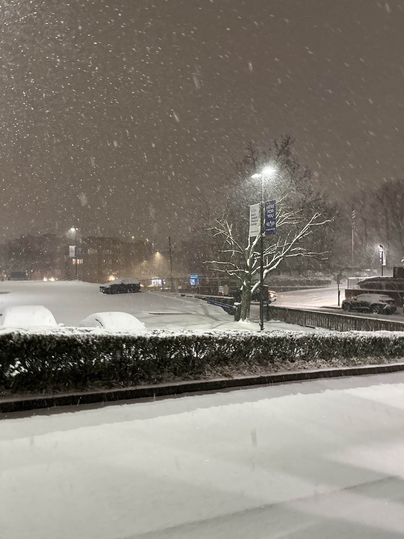 Vark Street Park - Yonkers, NY