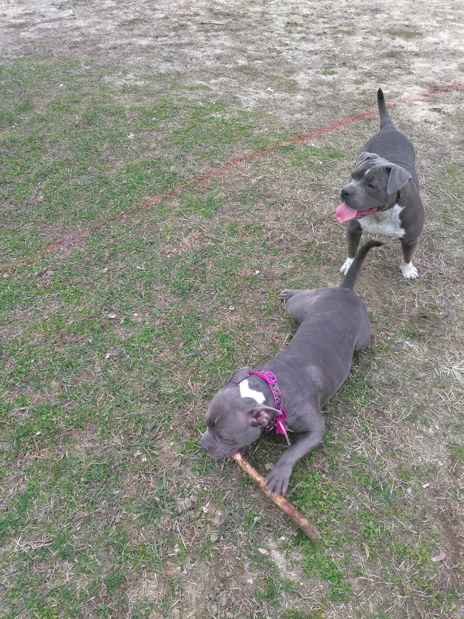War Memorial Field - Yonkers, NY