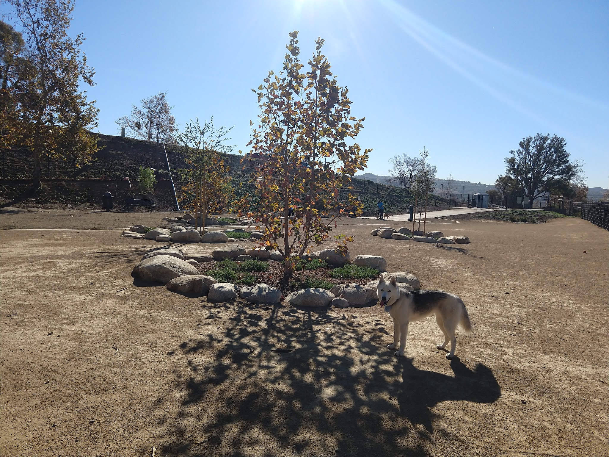 Checkers Dog Park - Yorba Linda, CA
