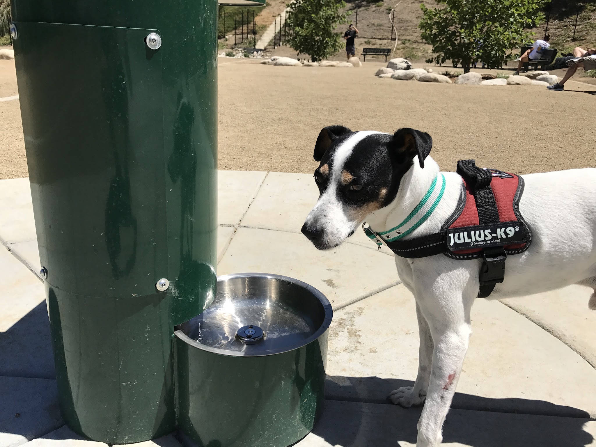 Checkers Dog Park - Yorba Linda, CA