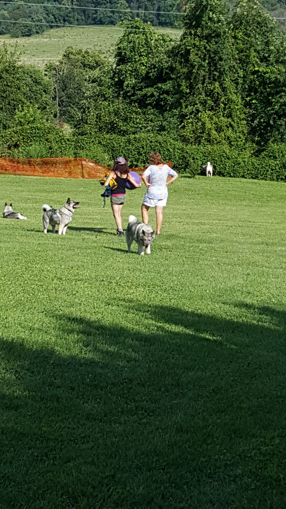 Barkby Plungers - York, PA