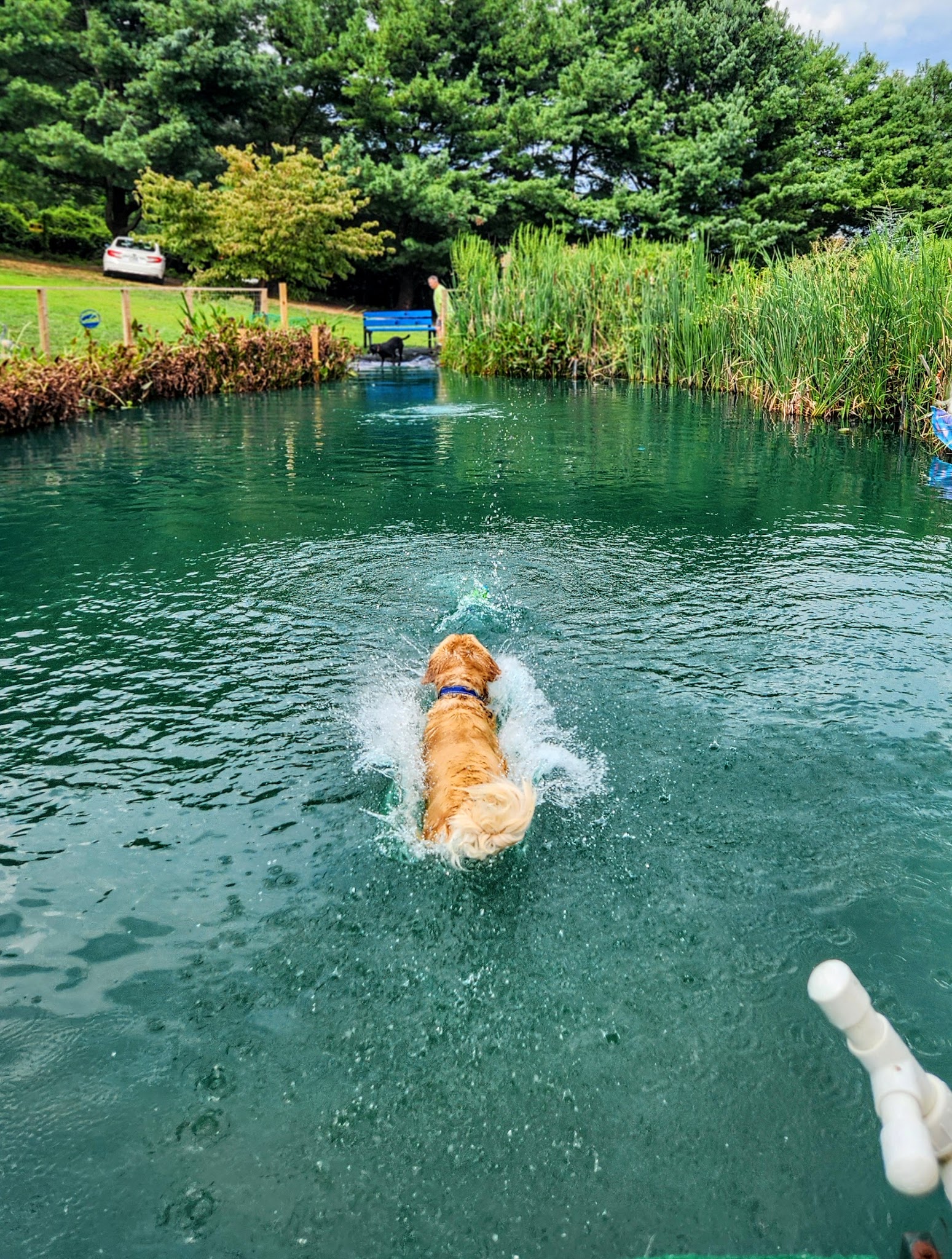 Barkby Plungers - York, PA