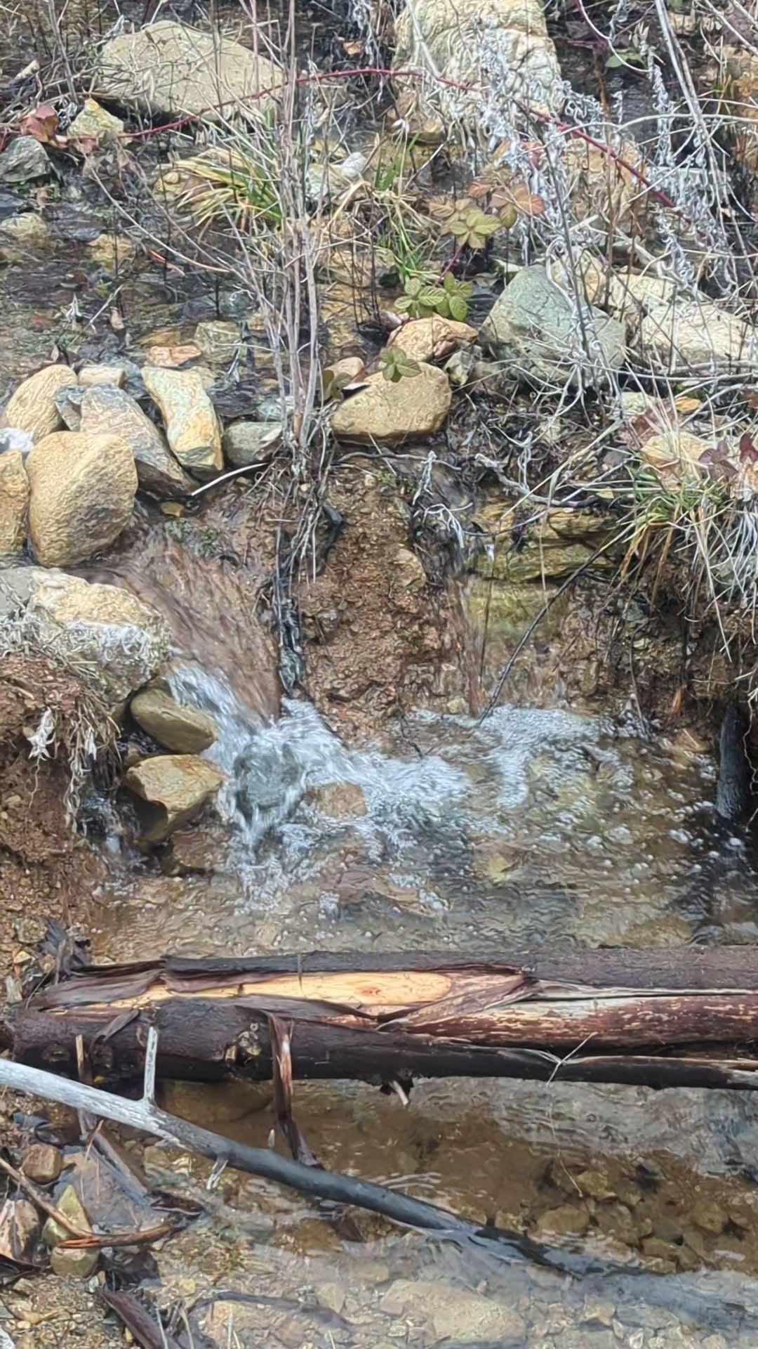 Greenhorn Park Reservoir Trail - Yreka, CA