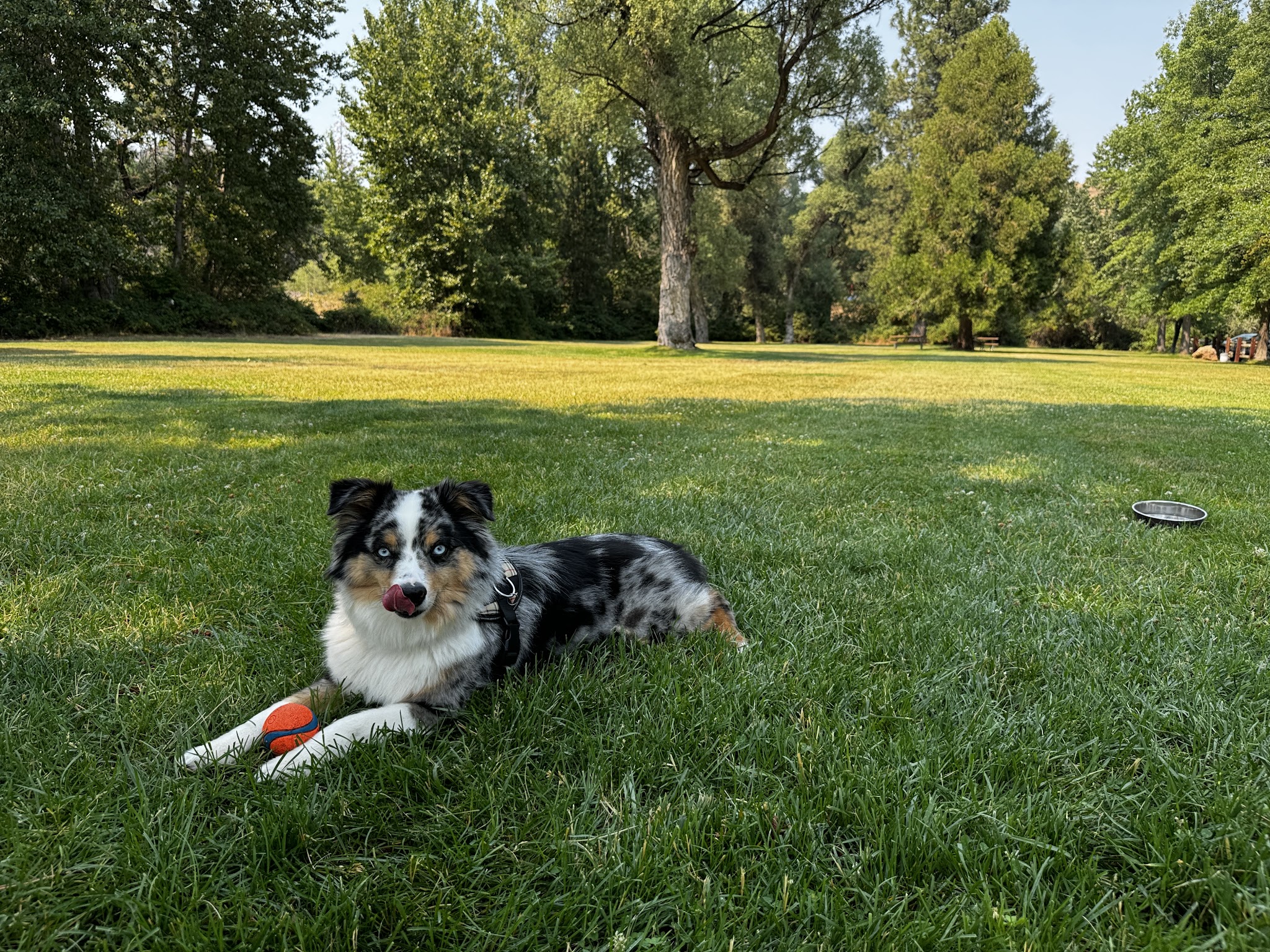 Greenhorn Park Reservoir Trail - Yreka, CA