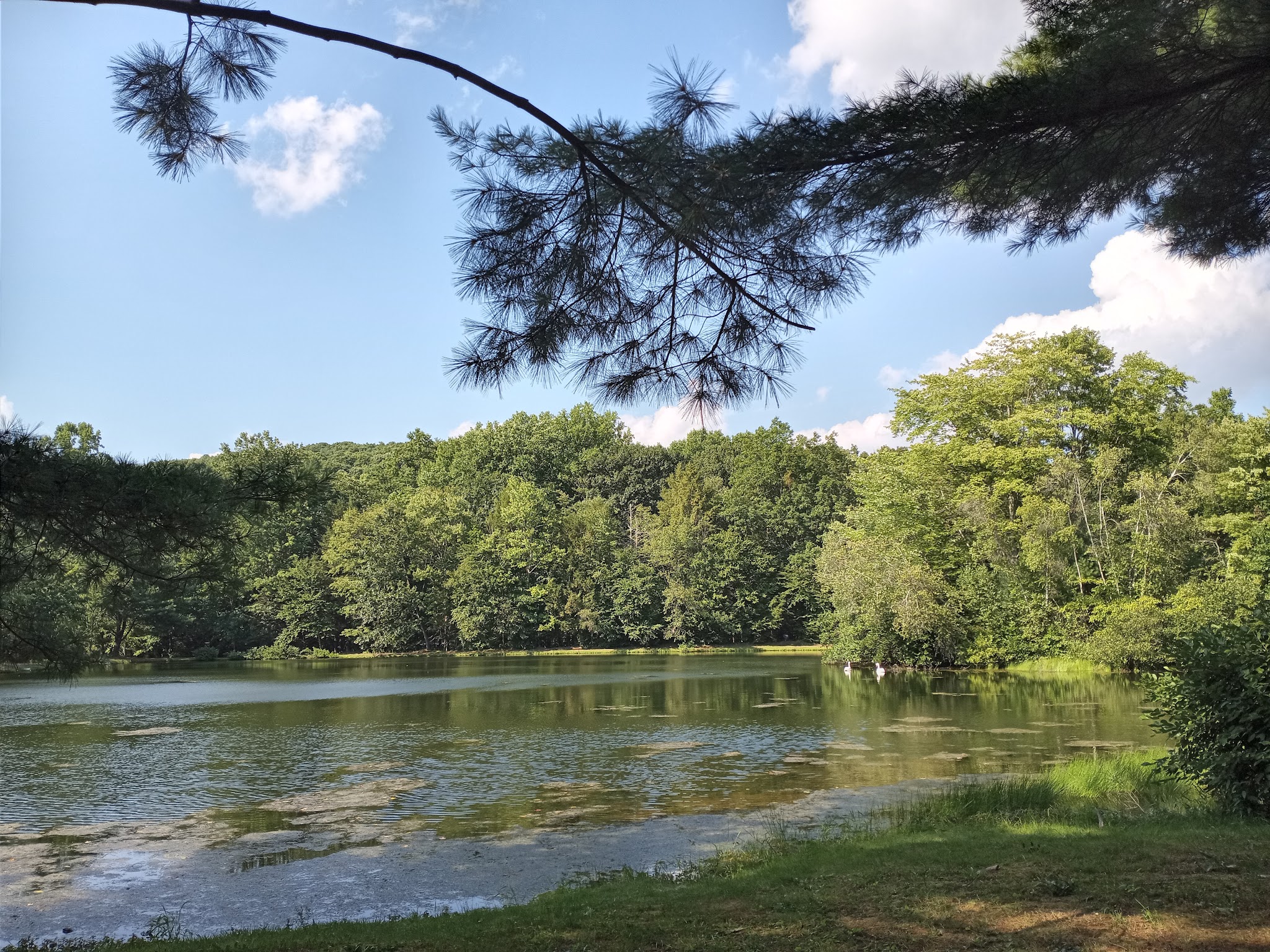 Red Ridge Lake Campgrounds - Zion Grove, PA