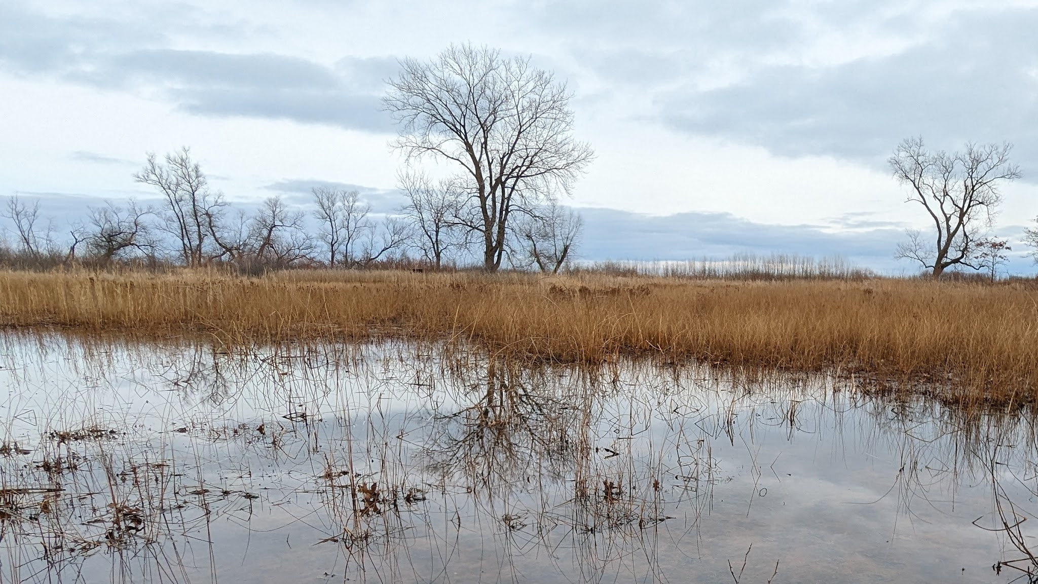 Illinois Beach State Park Parking Lot - Zion, IL