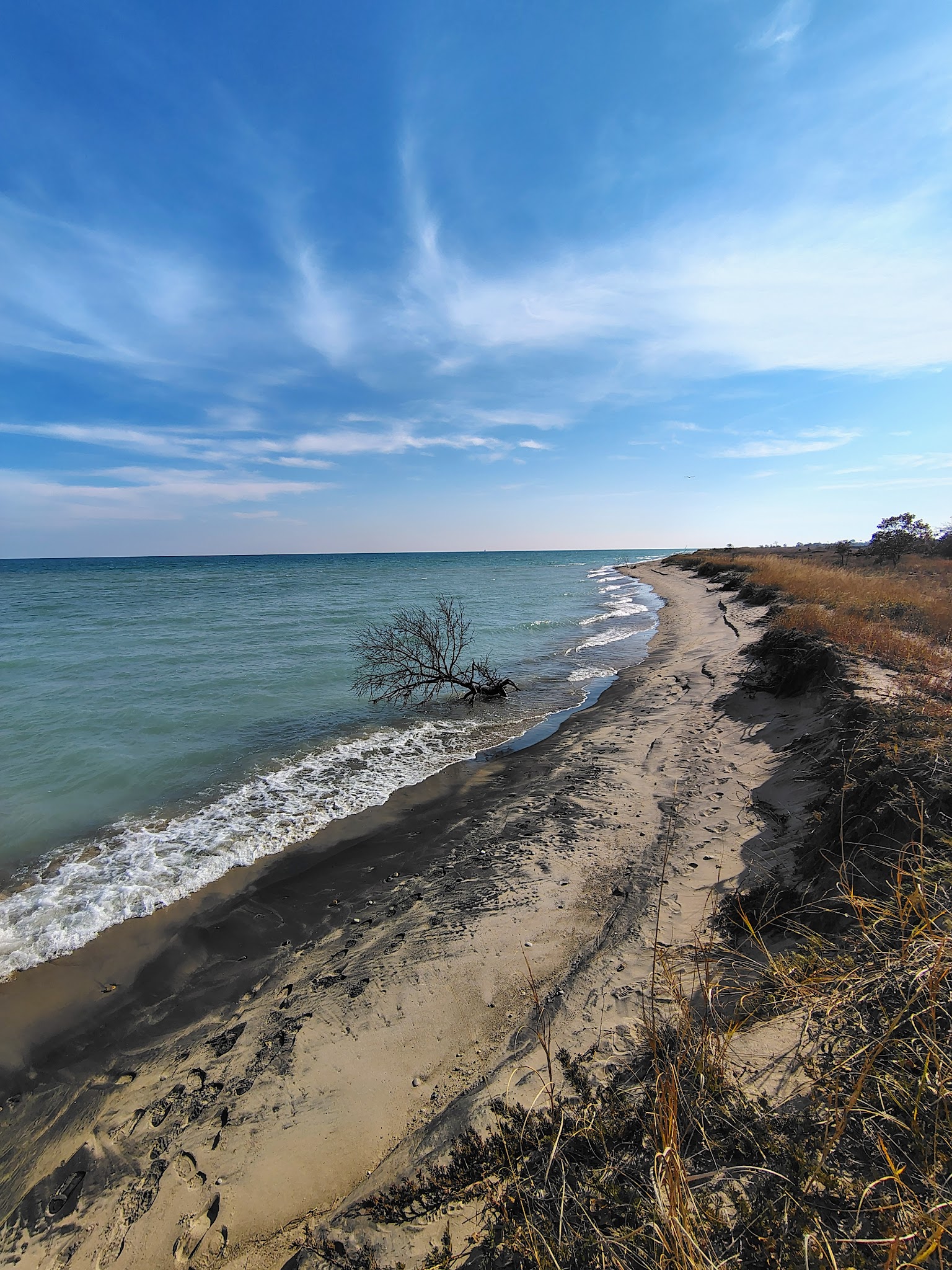 Illinois Beach State Park Parking Lot - Zion, IL