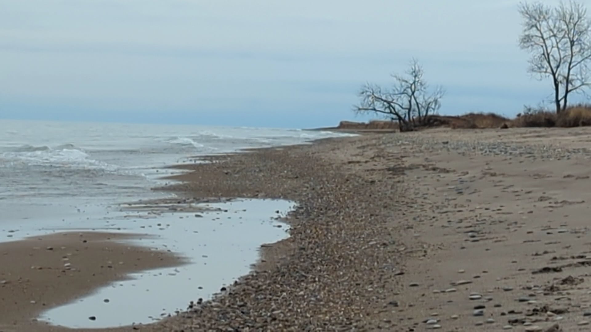 Illinois Beach State Park Parking Lot - Zion, IL