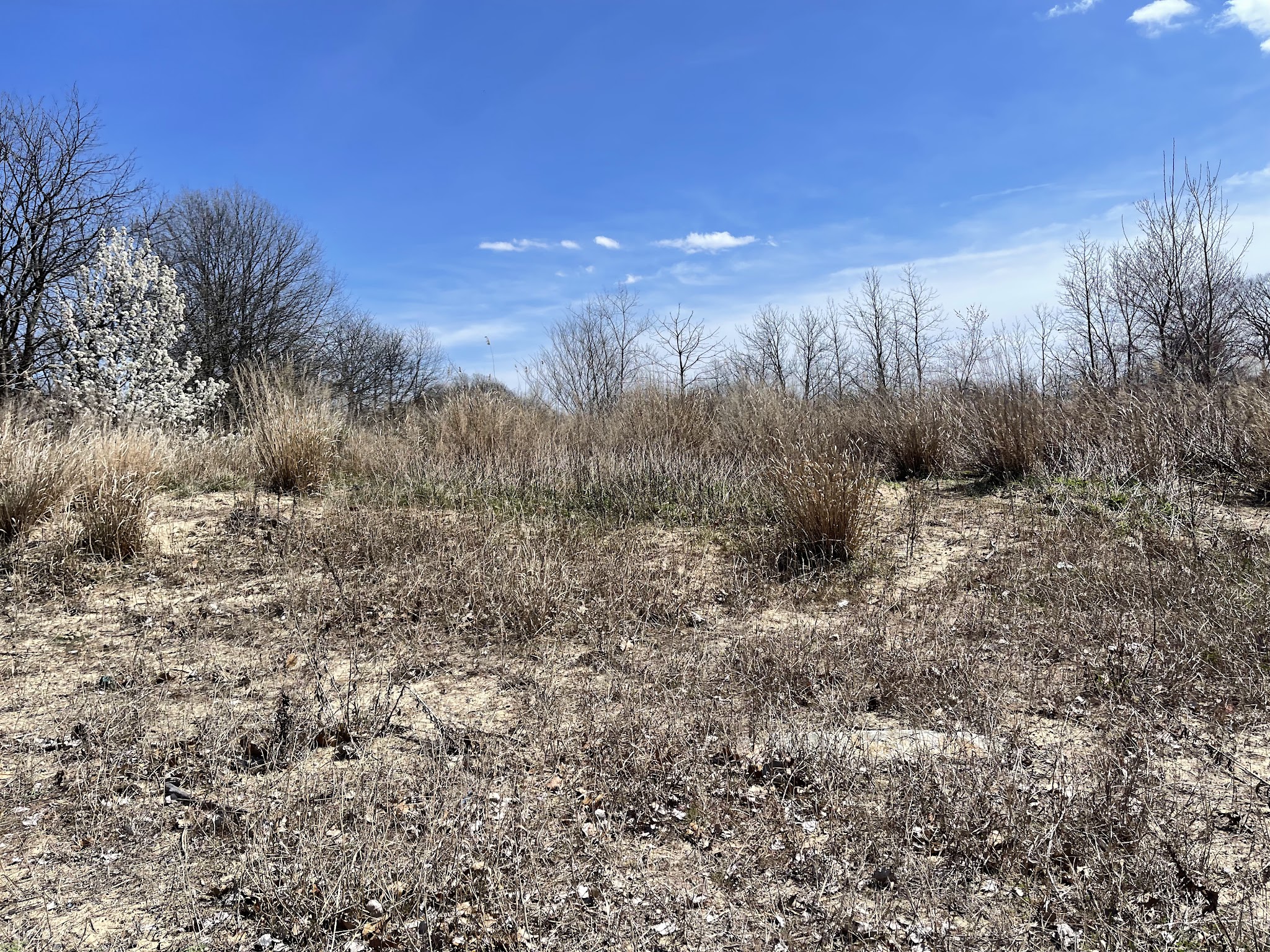 Aberdeen Sea Wall Trailhead - Aberdeen Township, NJ