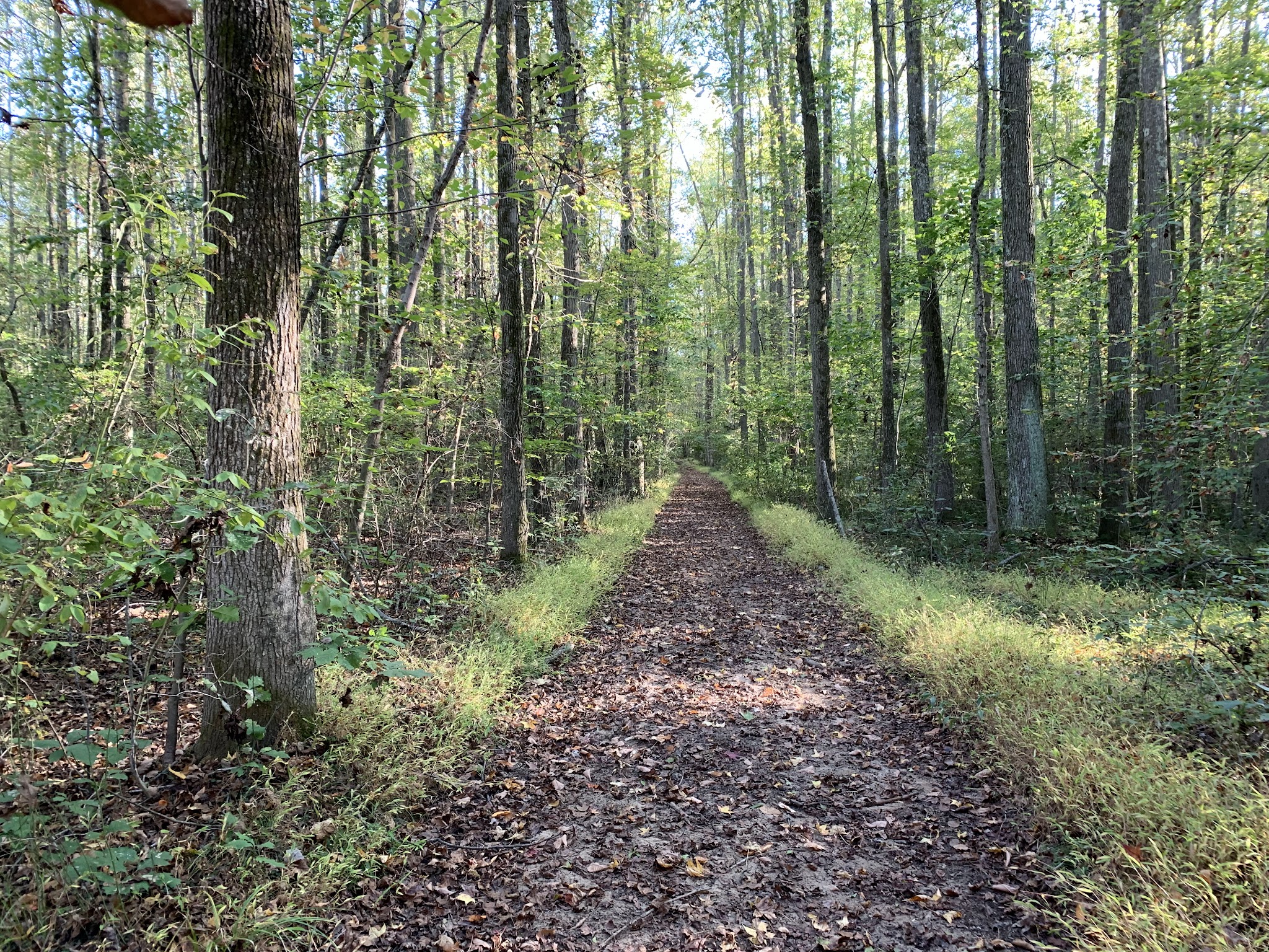 Freneau Woods Park - Aberdeen Township, NJ