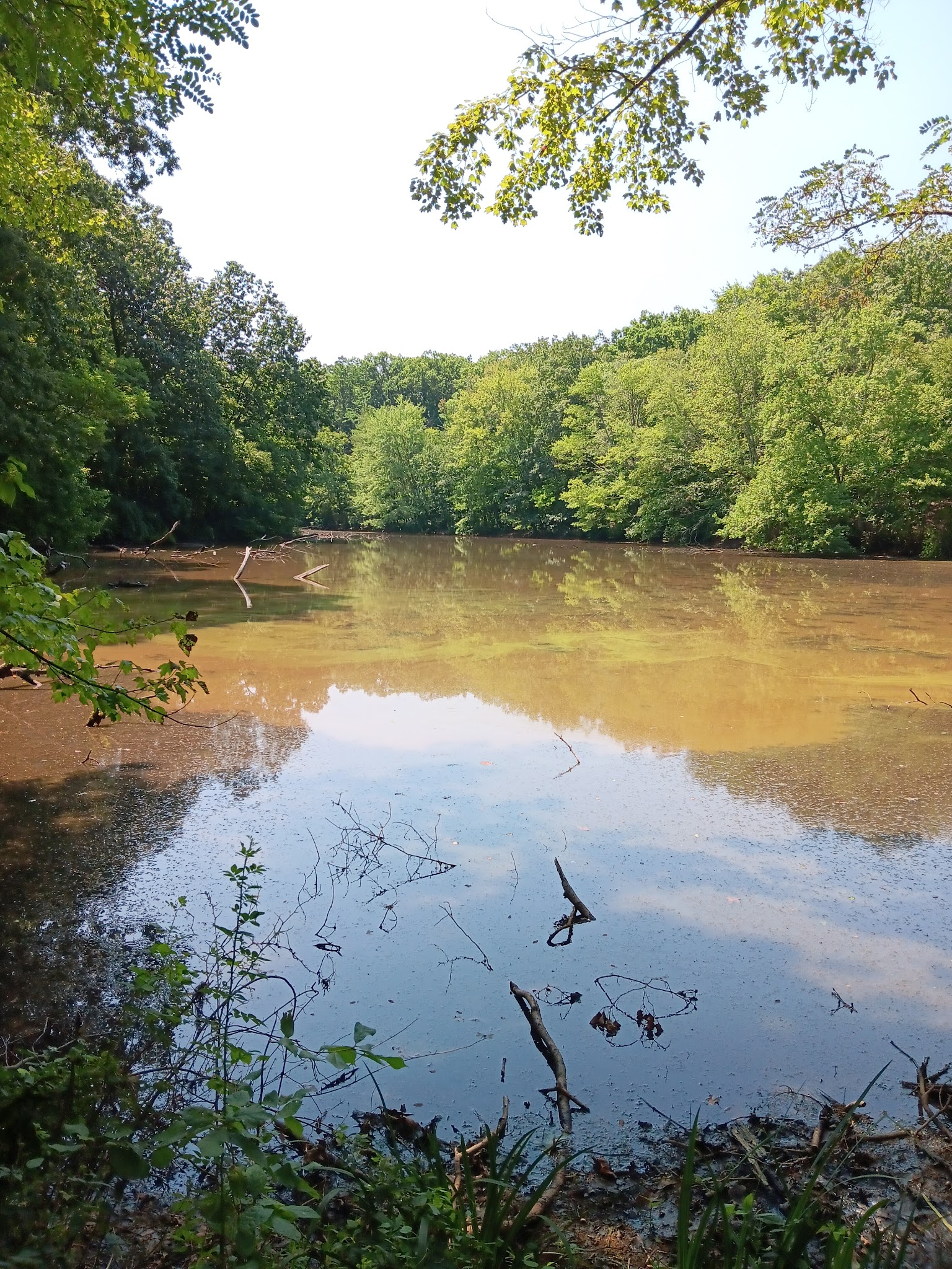 Freneau Woods Park - Aberdeen Township, NJ