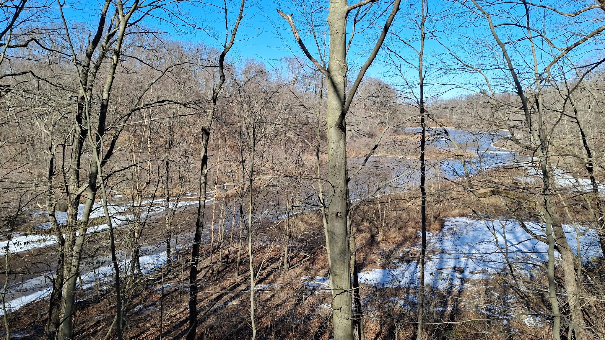 Freneau Woods Park - Aberdeen Township, NJ