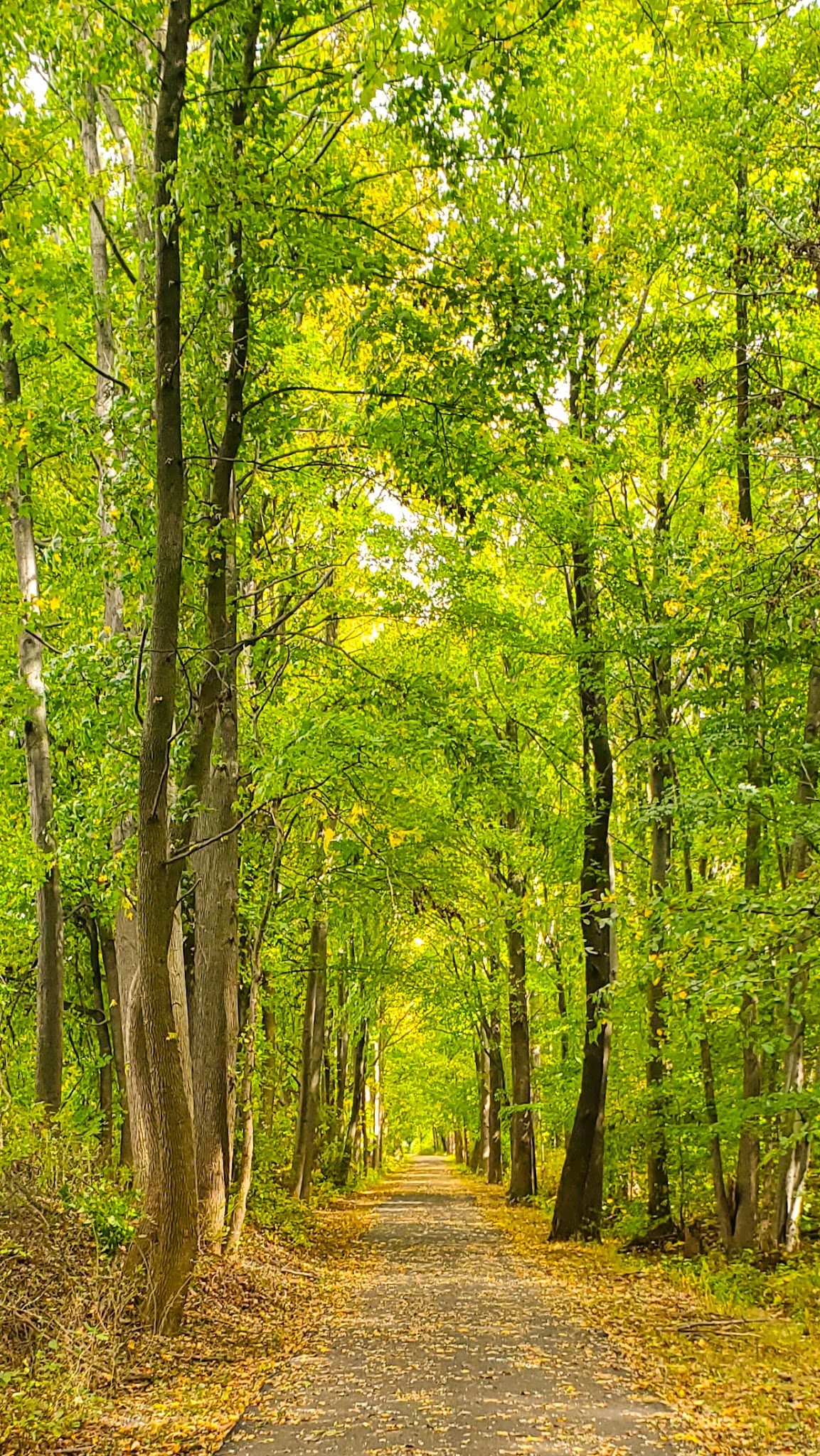 Henry Hudson Bike Trail - Aberdeen Township, NJ