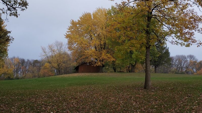 White Woods County Park - Albert Lea, MN