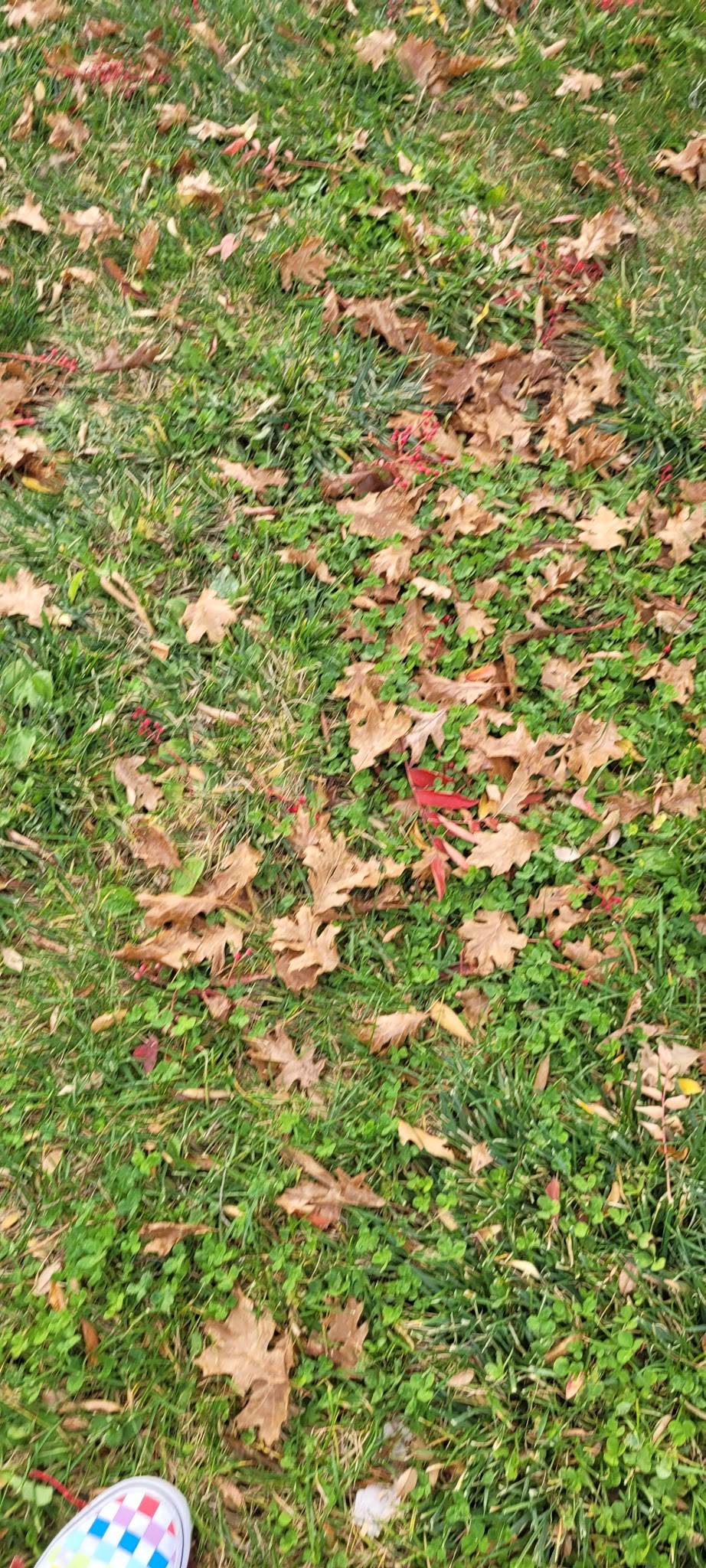 Bel-Air Park - Albuquerque, NM