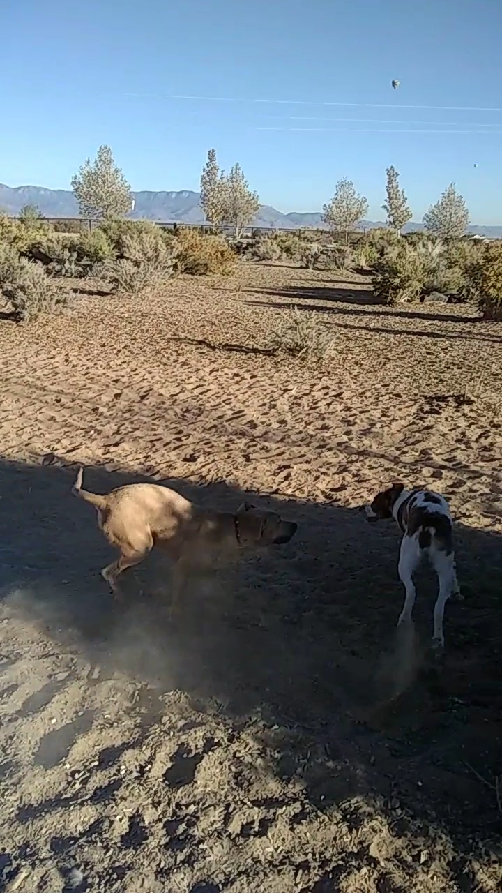 Country Meadows Park - Albuquerque, NM