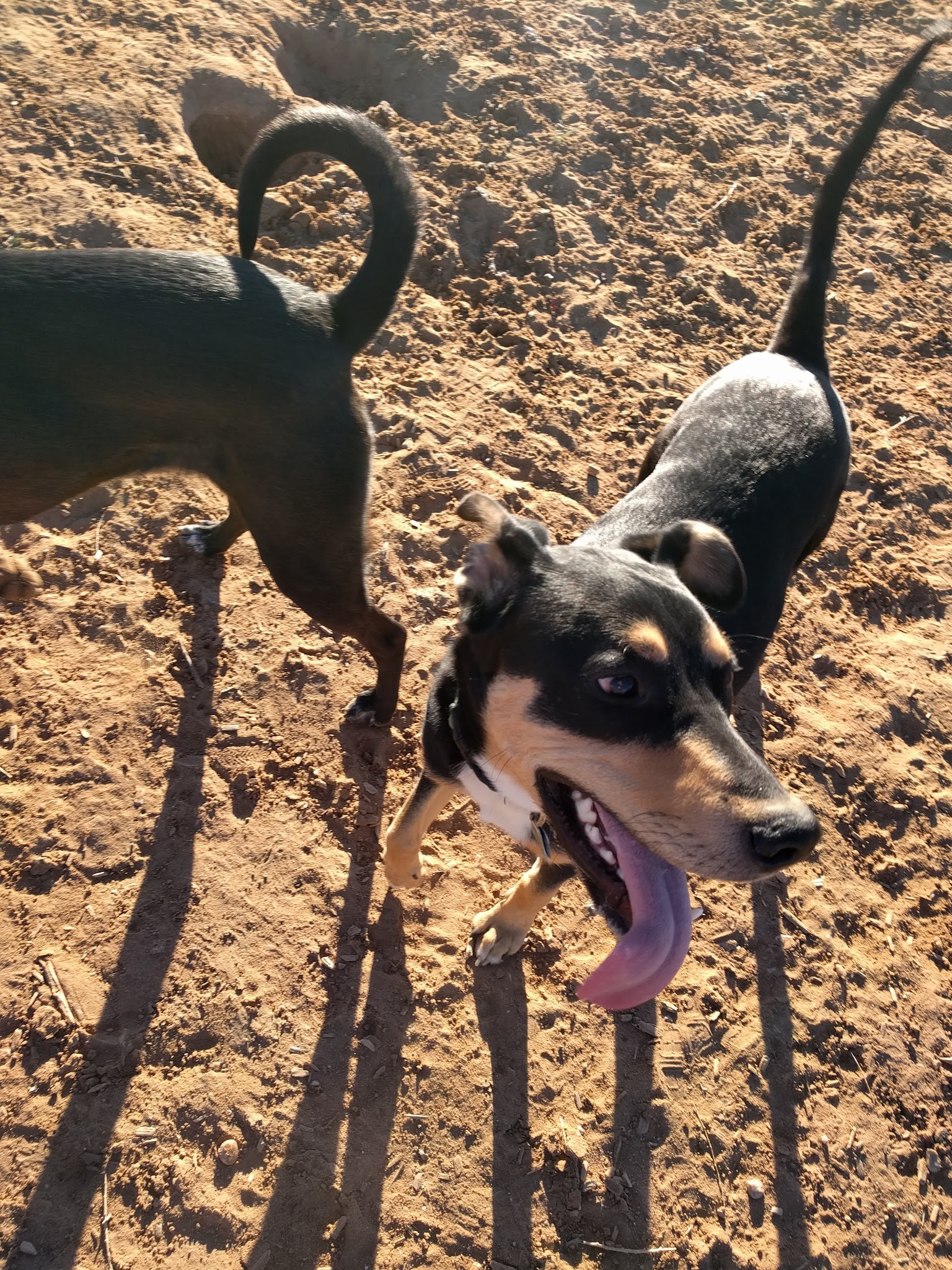 Country Meadows Park - Albuquerque, NM