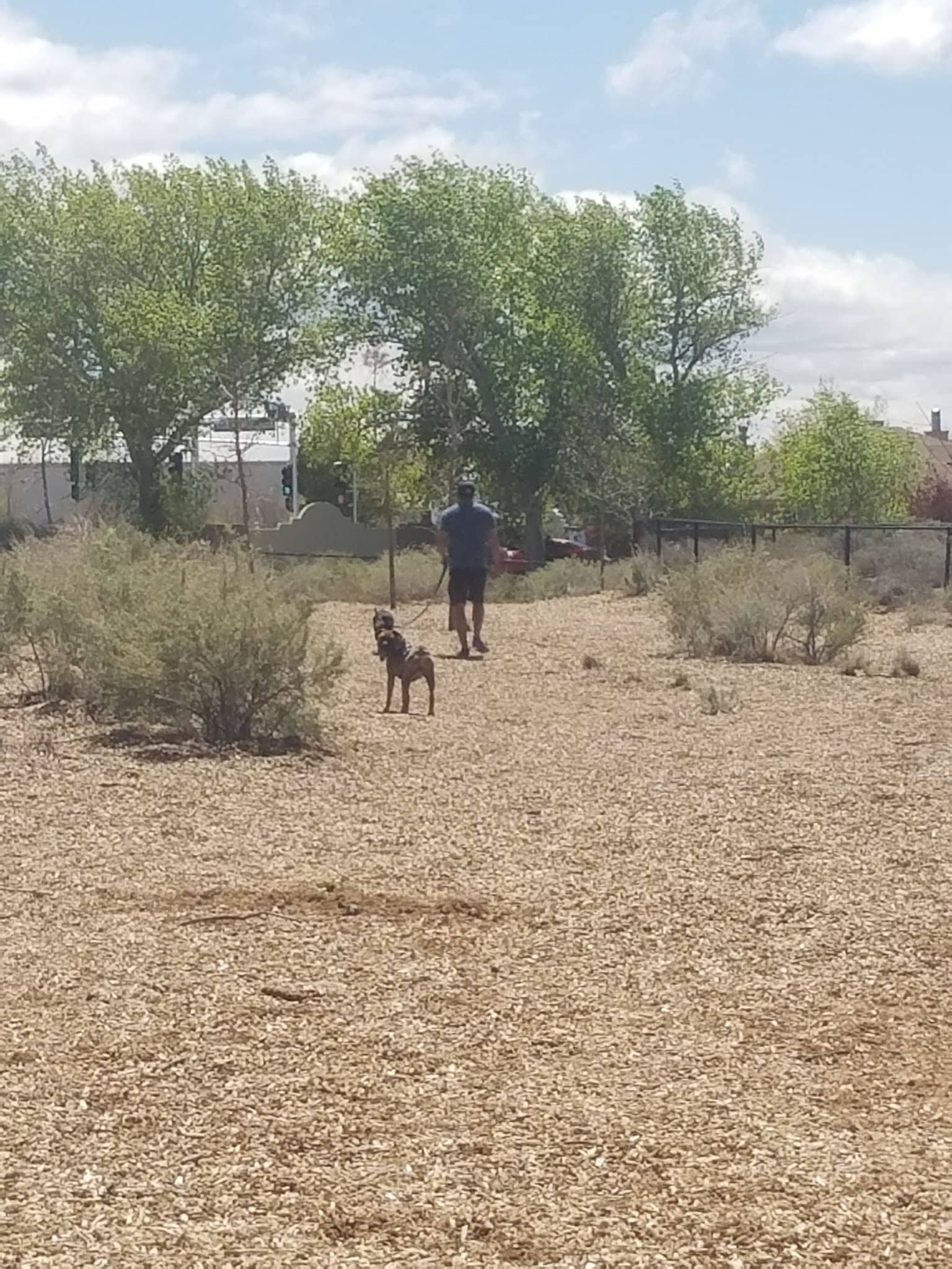 Country Meadows Park - Albuquerque, NM