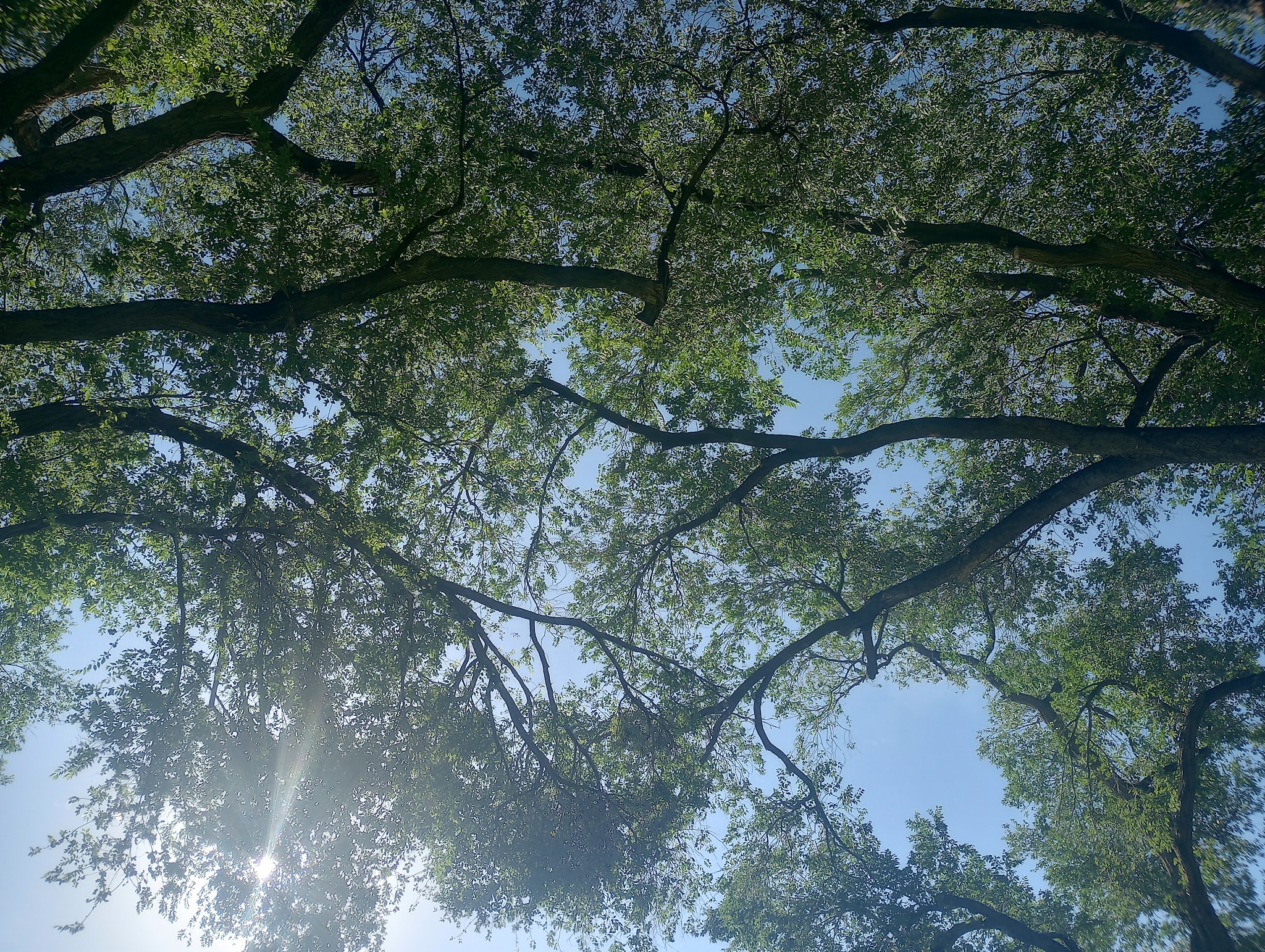 Hyder Park - Albuquerque, NM