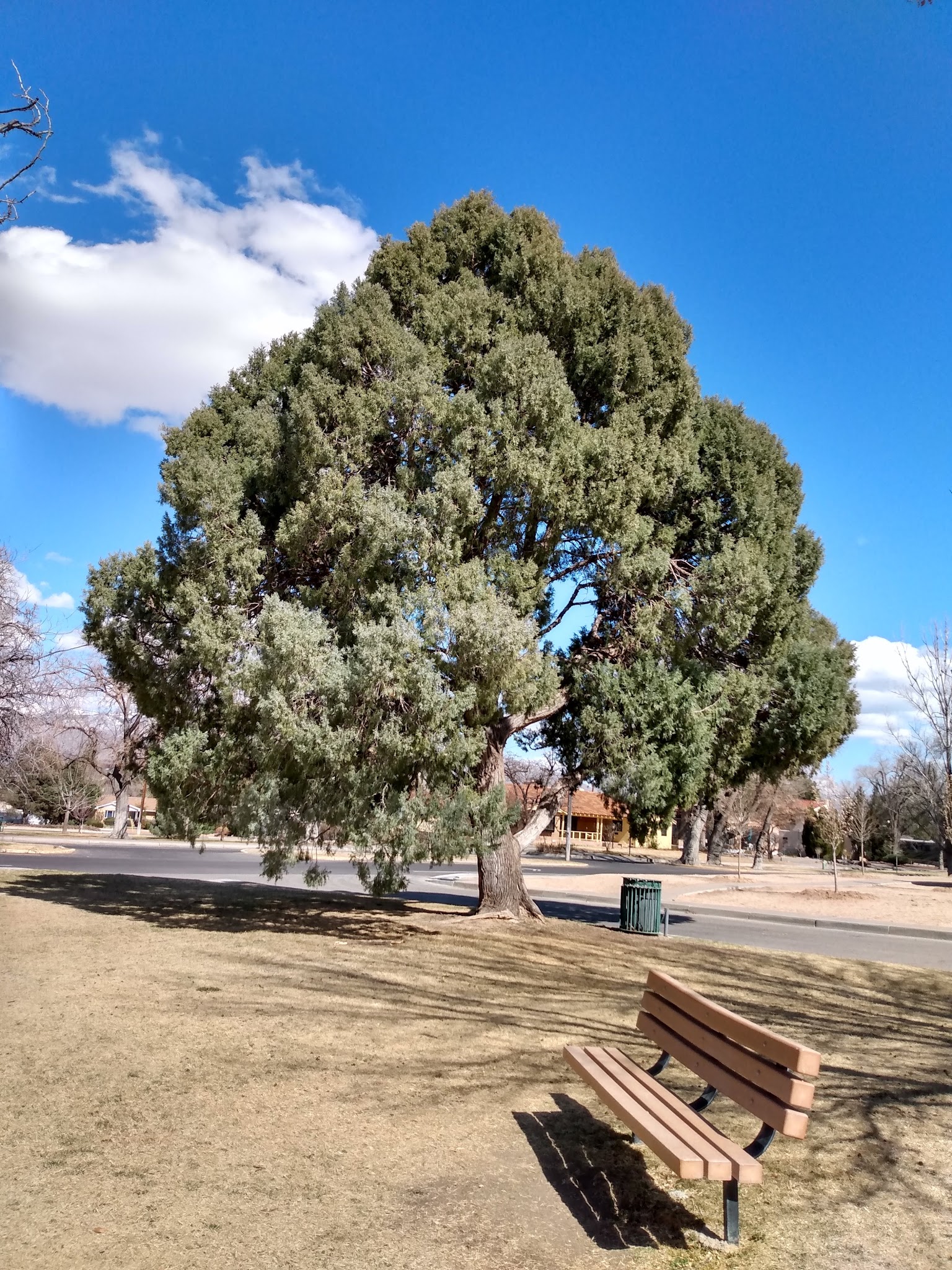 Laurel Circle Park - Albuquerque, NM