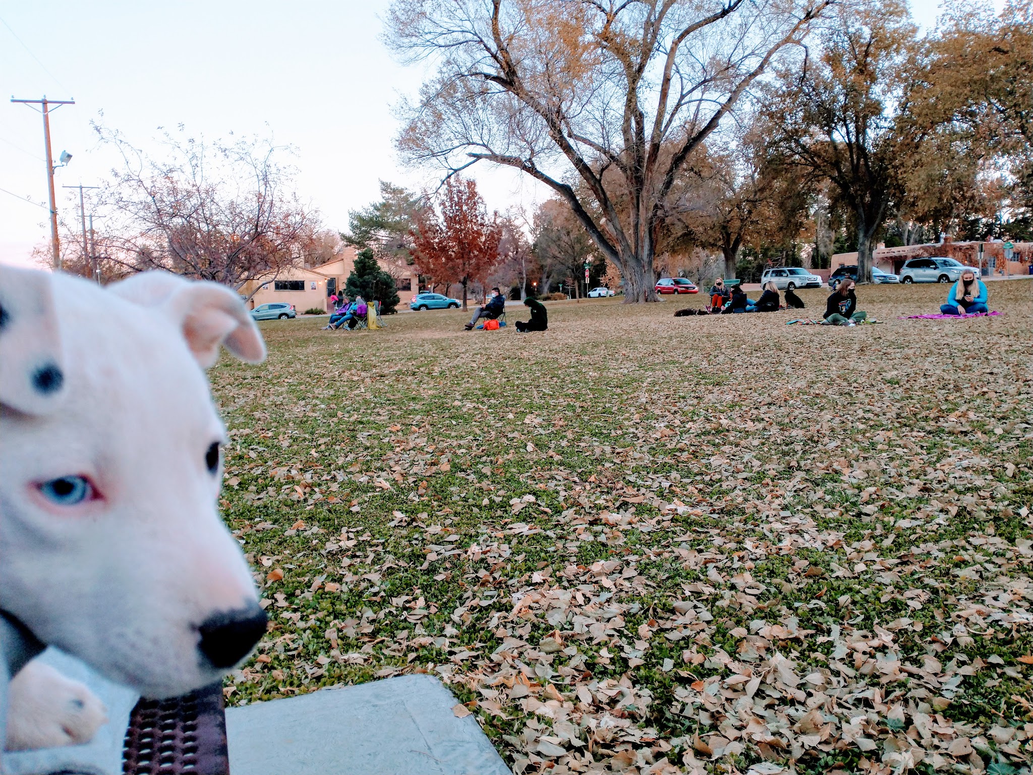 Laurel Circle Park - Albuquerque, NM
