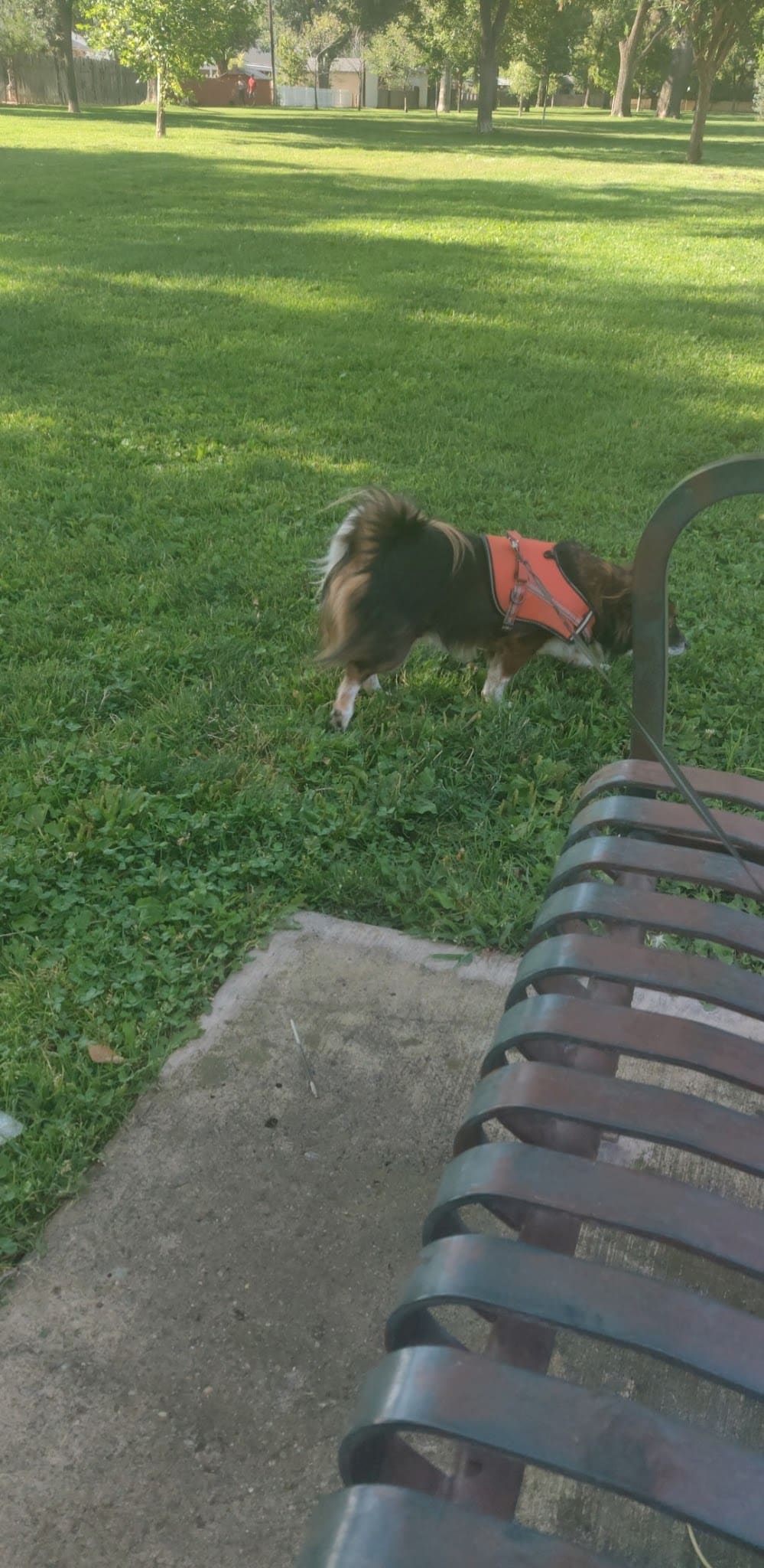 McDuffie Park - Albuquerque, NM