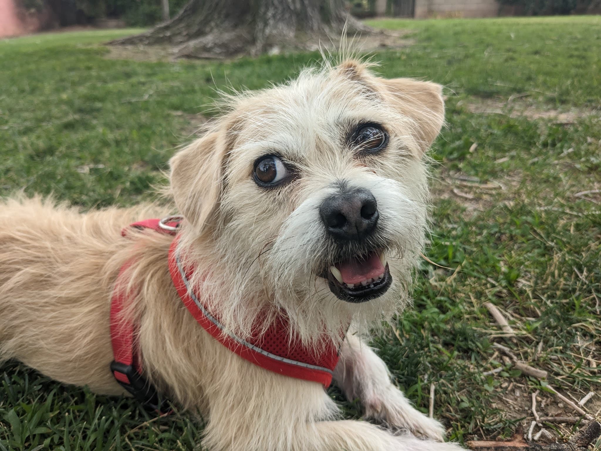 McDuffie Park - Albuquerque, NM