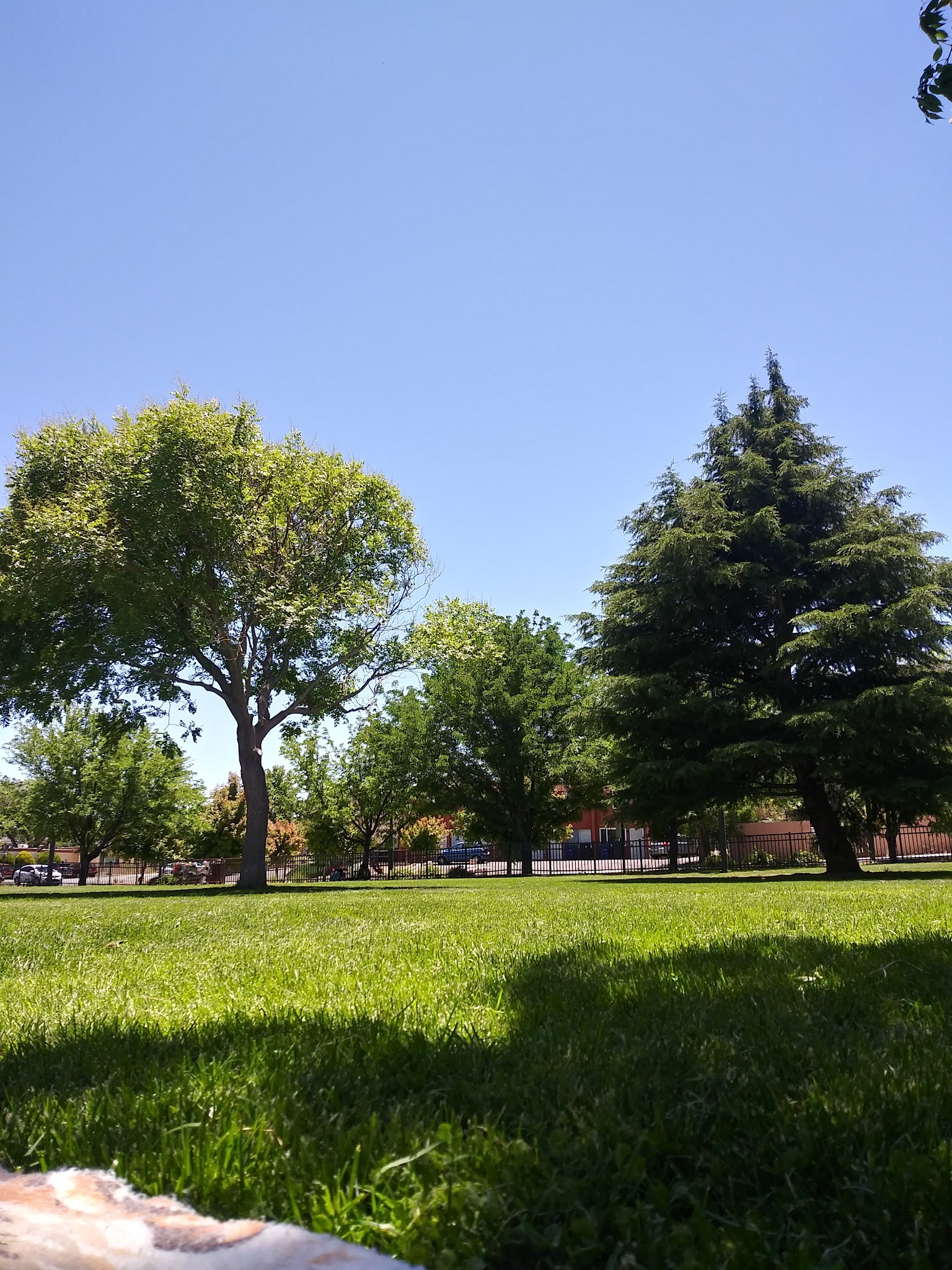 Morningside park - Albuquerque, NM