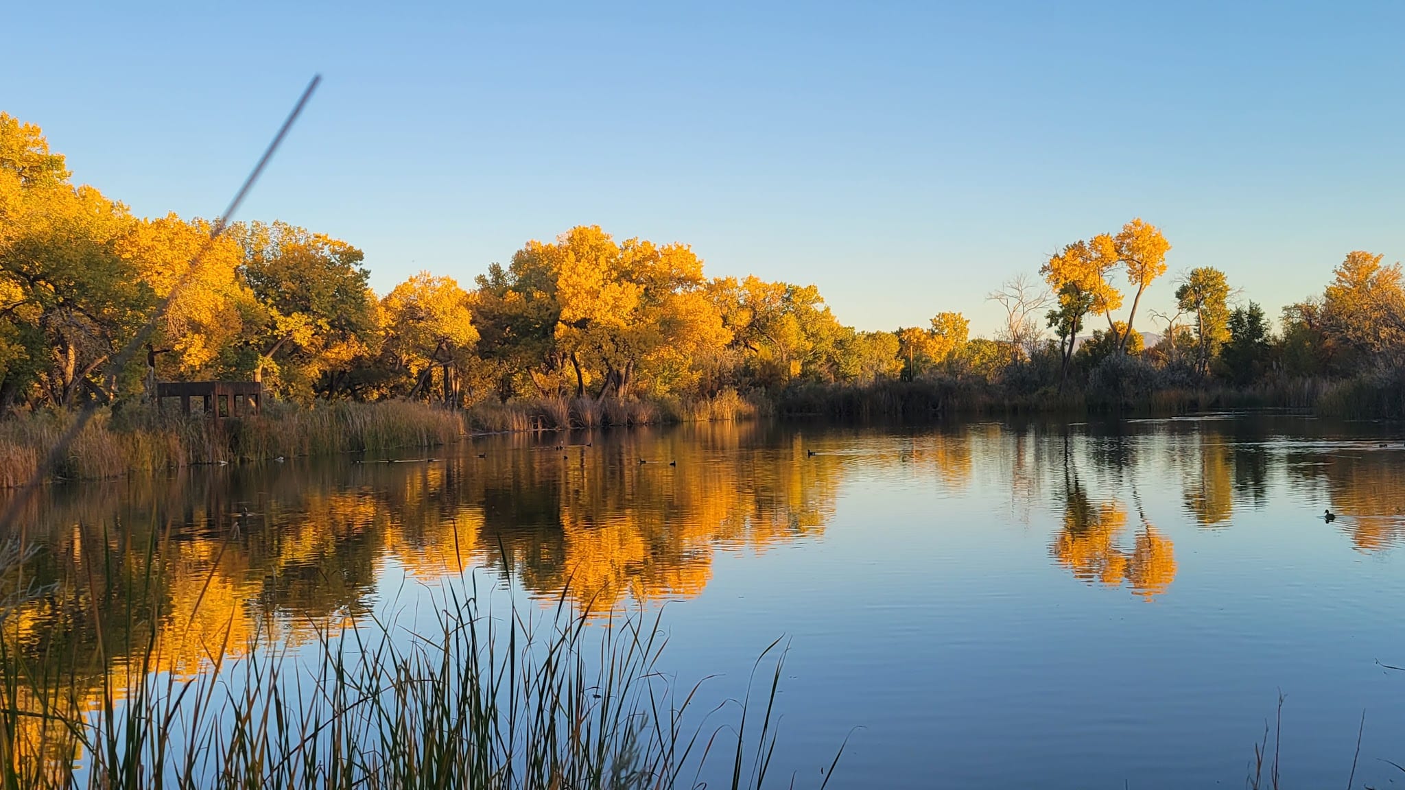 Rio Grande Park - Albuquerque, NM