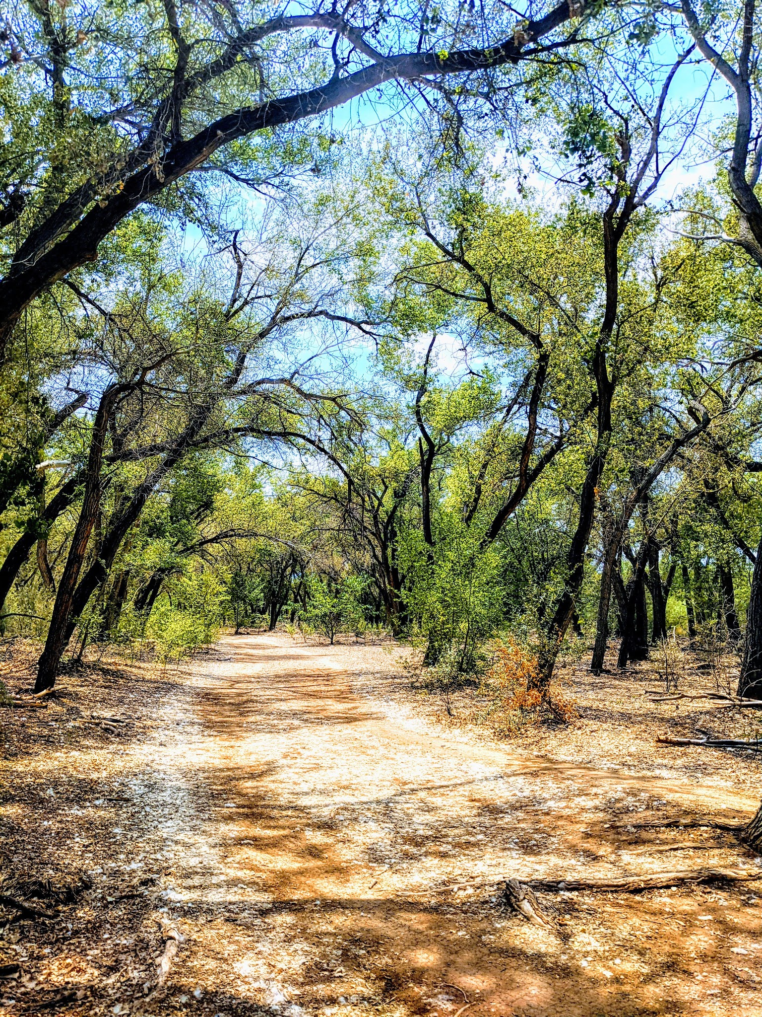 Rio Grande Park - Albuquerque, NM