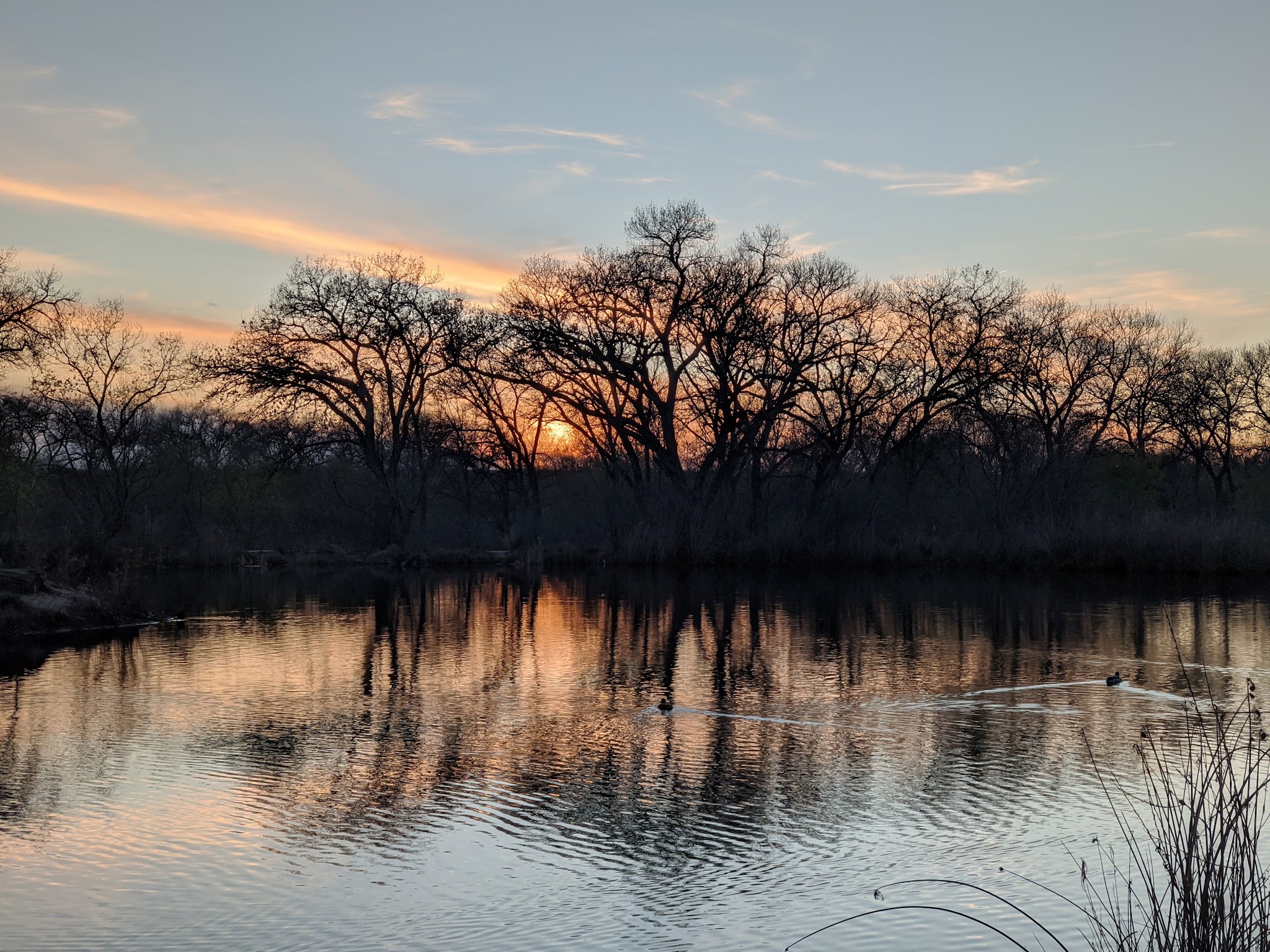 Rio Grande Park - Albuquerque, NM