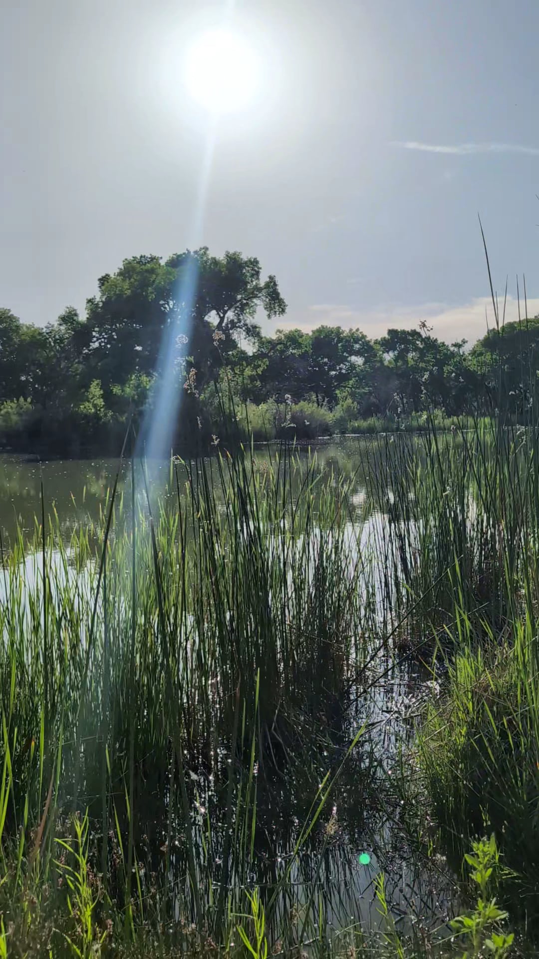 Rio Grande Park - Albuquerque, NM