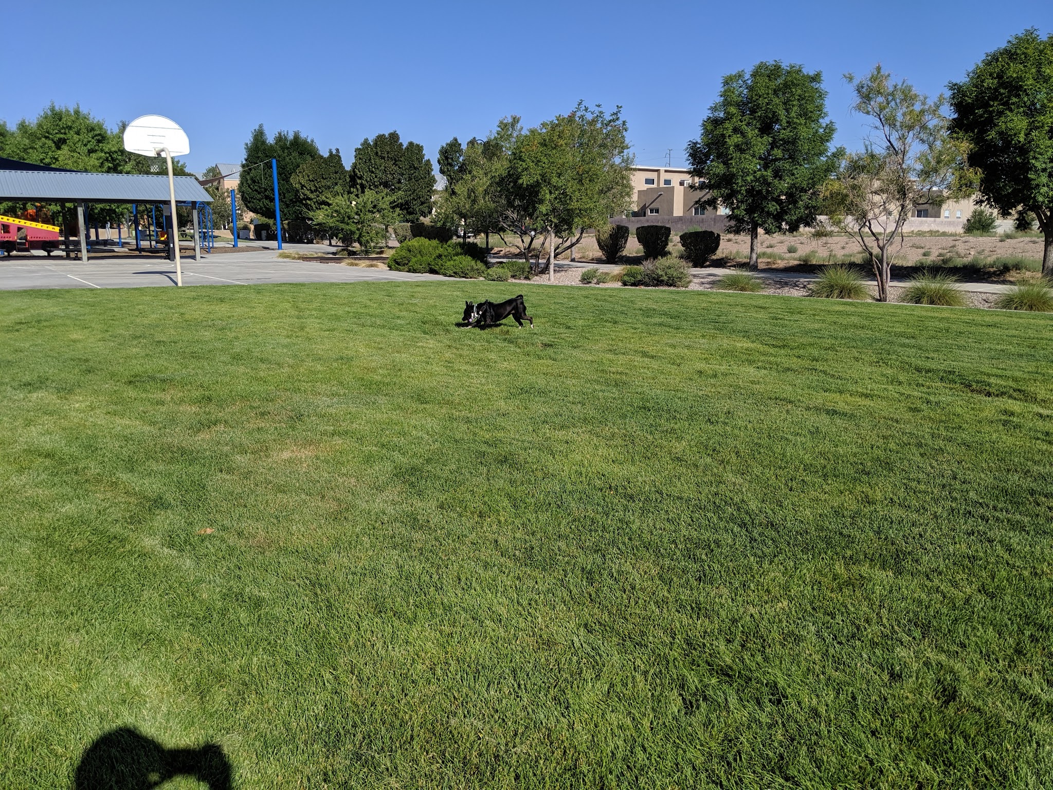 Sawmill Park - Albuquerque, NM