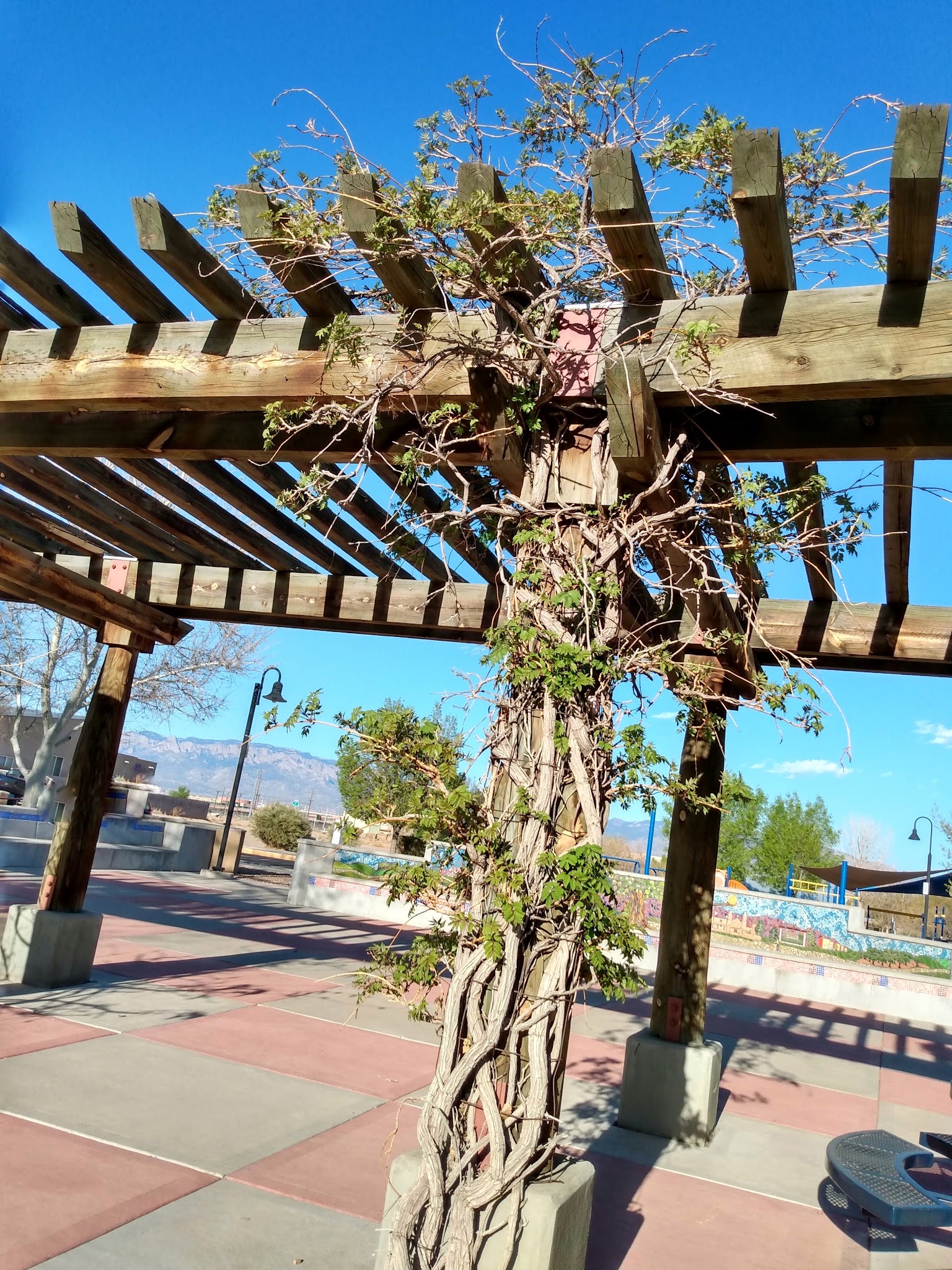 Sawmill Park - Albuquerque, NM