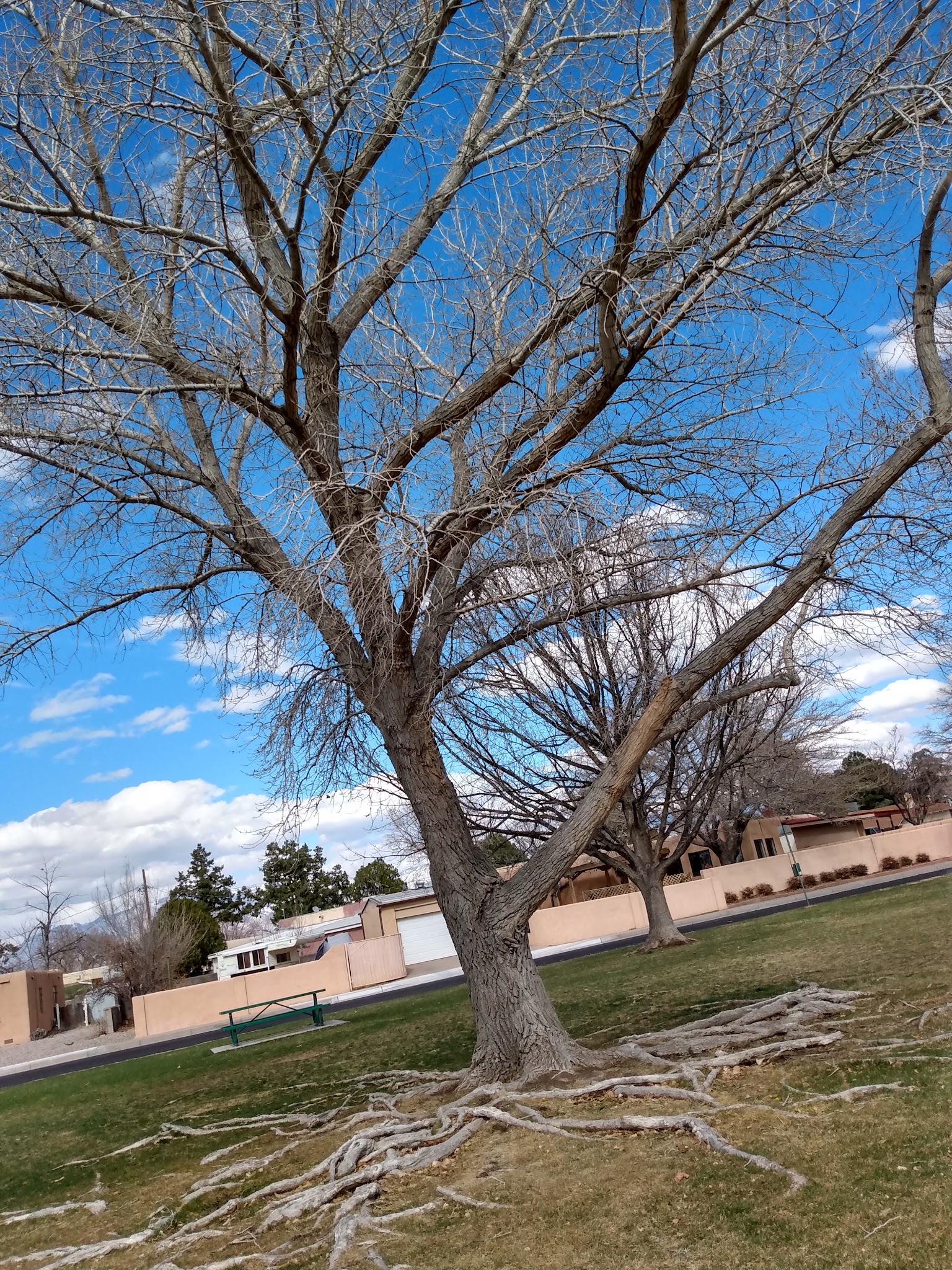 Vail Park - Albuquerque, NM