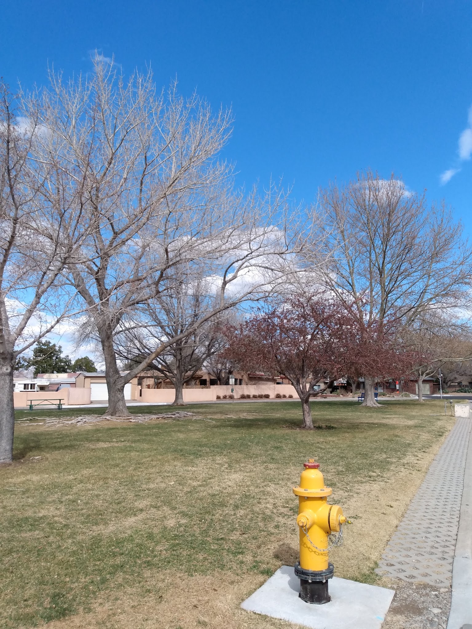 Vail Park - Albuquerque, NM