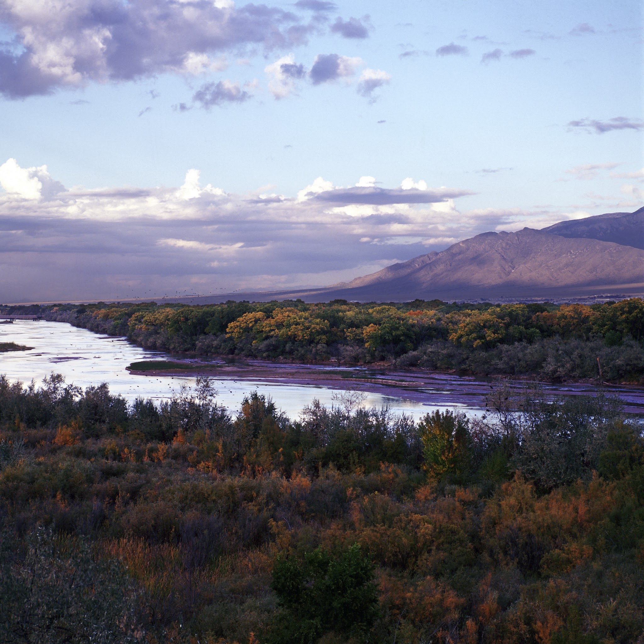 Rio Grande River Trail - Albuquerque, NM