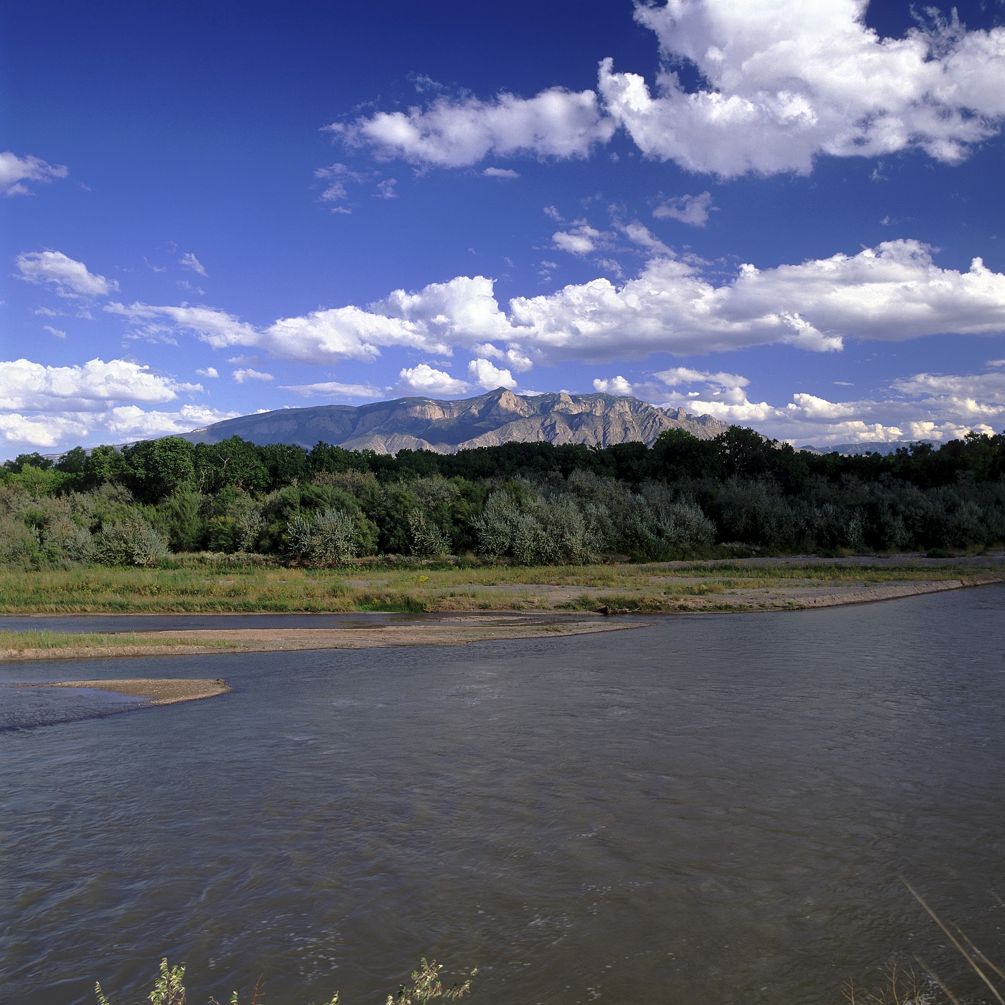 Rio Grande River Trail - Albuquerque, NM