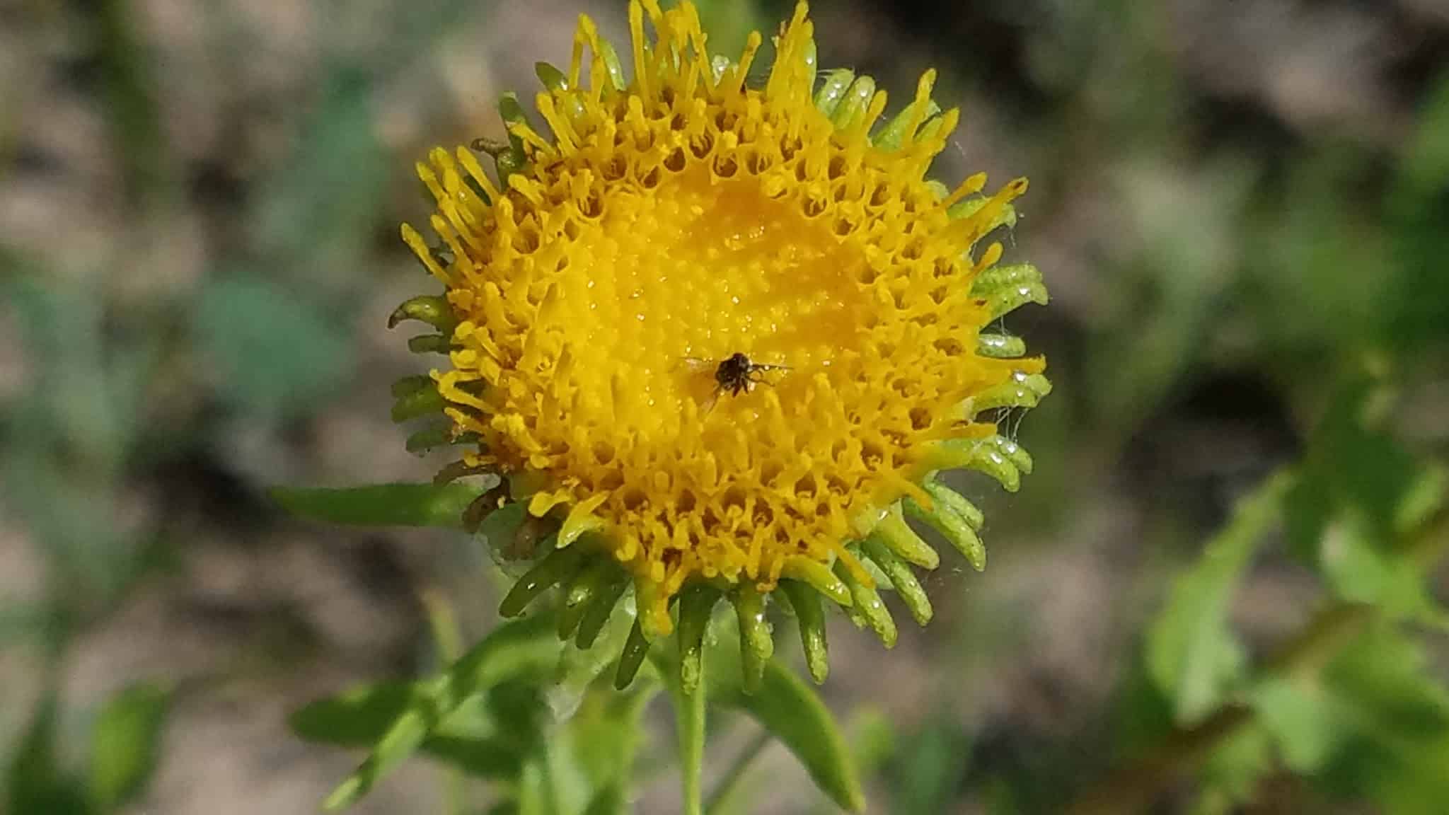 Rio Grande River Trail - Albuquerque, NM