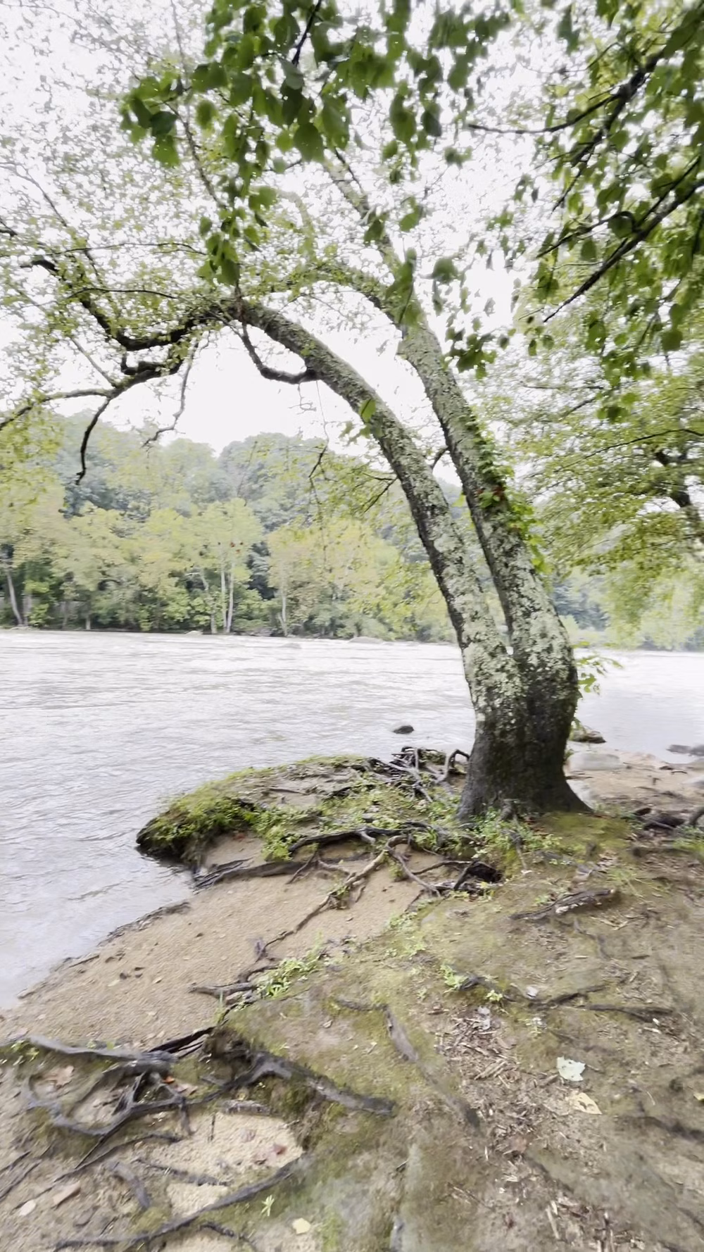 Ledges Whitewater River Park - Alexander, NC