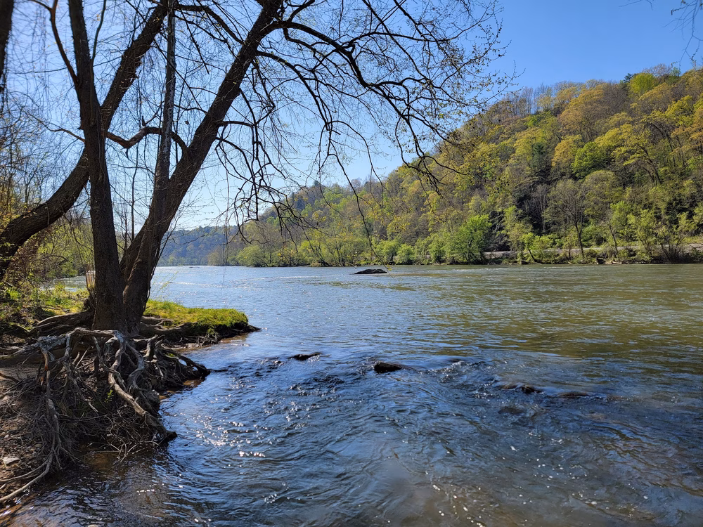 Walnut Island River Park - Alexander, NC