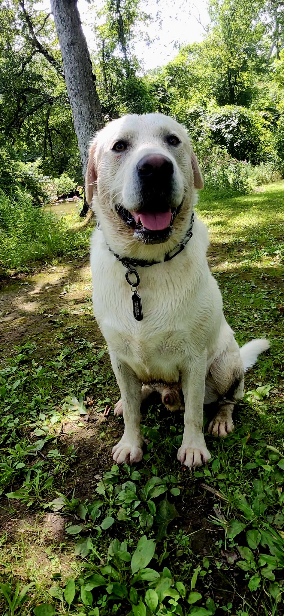 Brice Park - Allenwood, NJ
