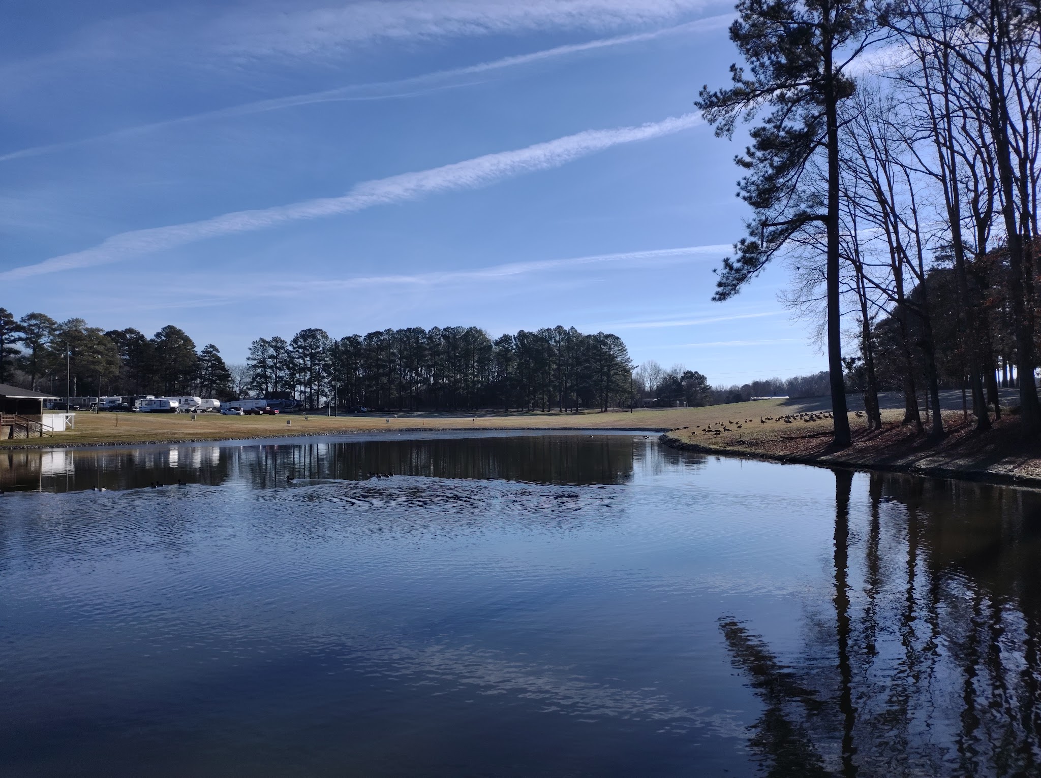 Amelia Family Campground - Amelia Court House, VA