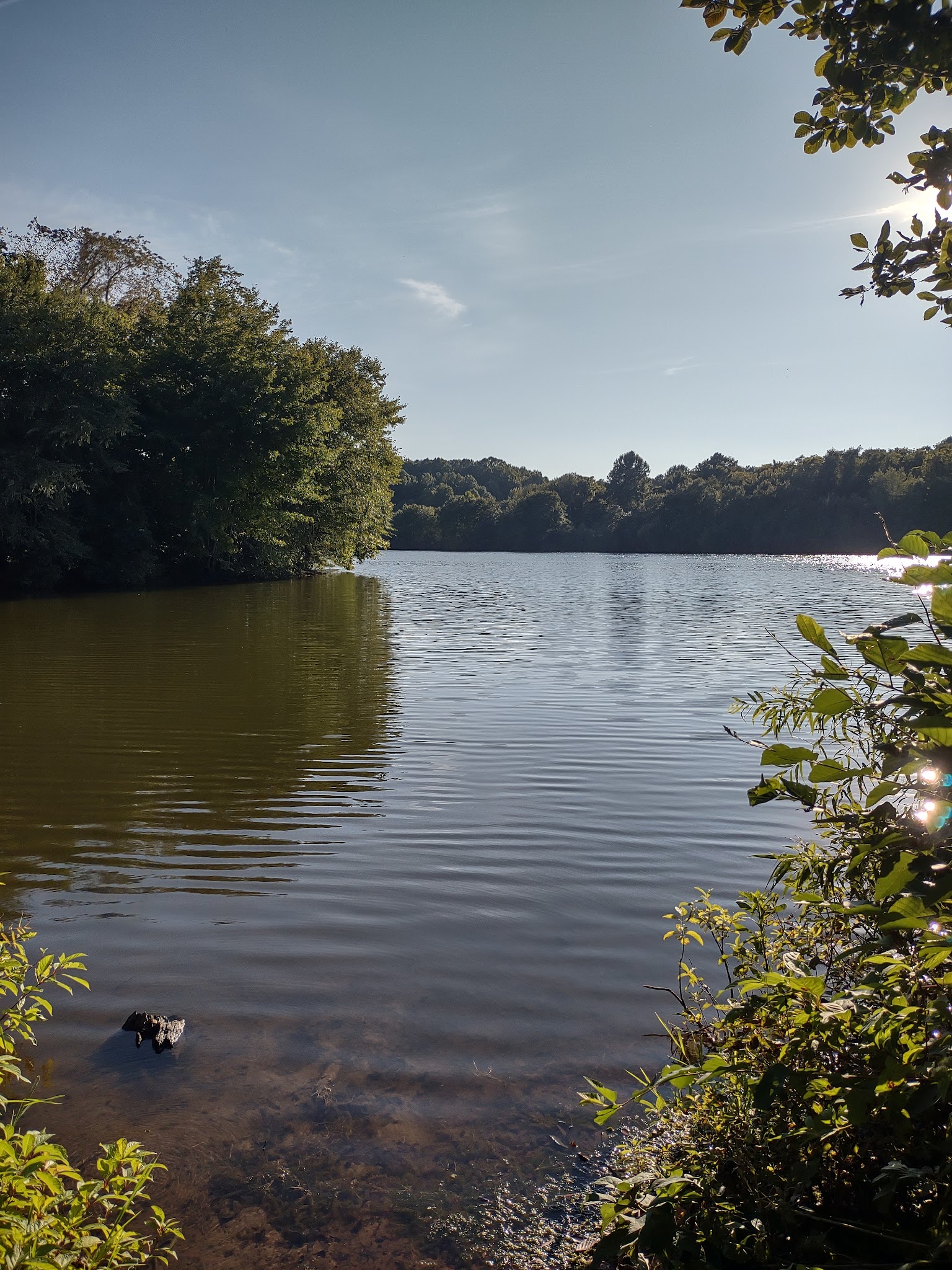 Amelia Wildlife Management Area - Amelia Court House, VA