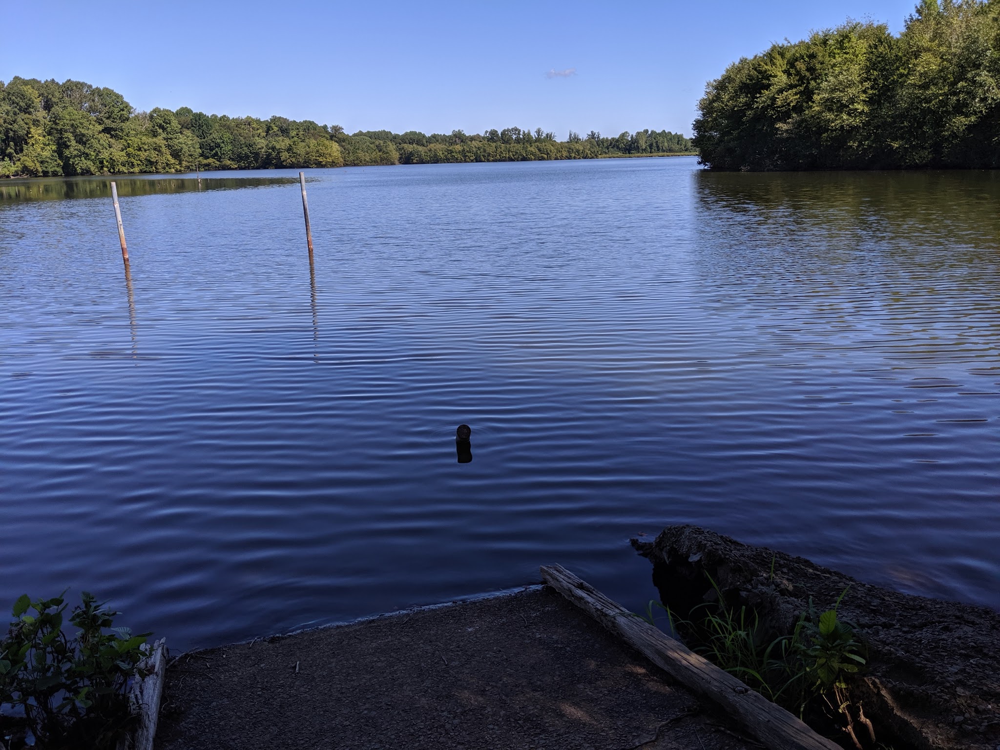 Amelia Wildlife Management Area - Amelia Court House, VA
