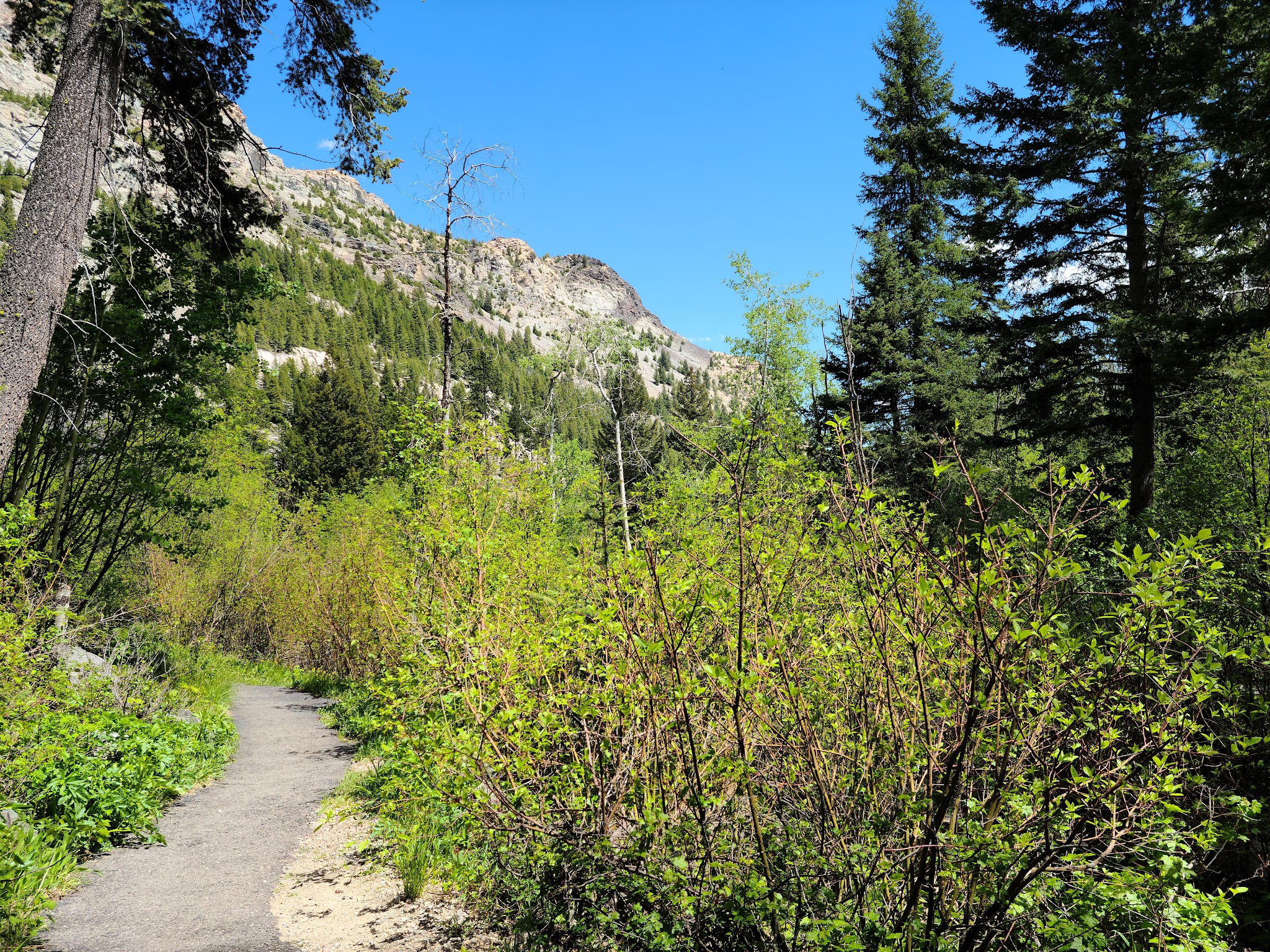 Lost Creek State Park - Anaconda, MT