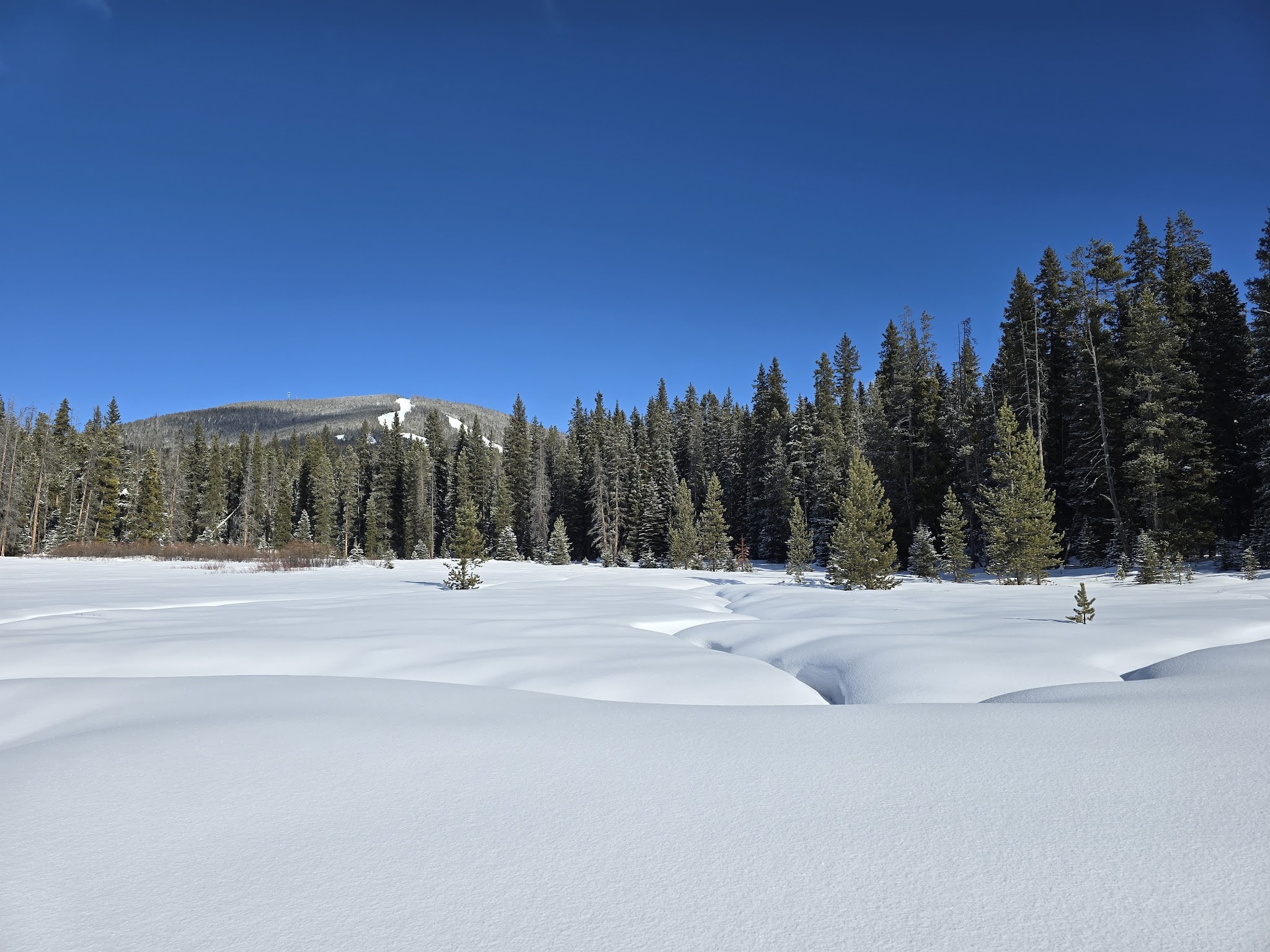 Midway Trailhead - Anaconda, MT