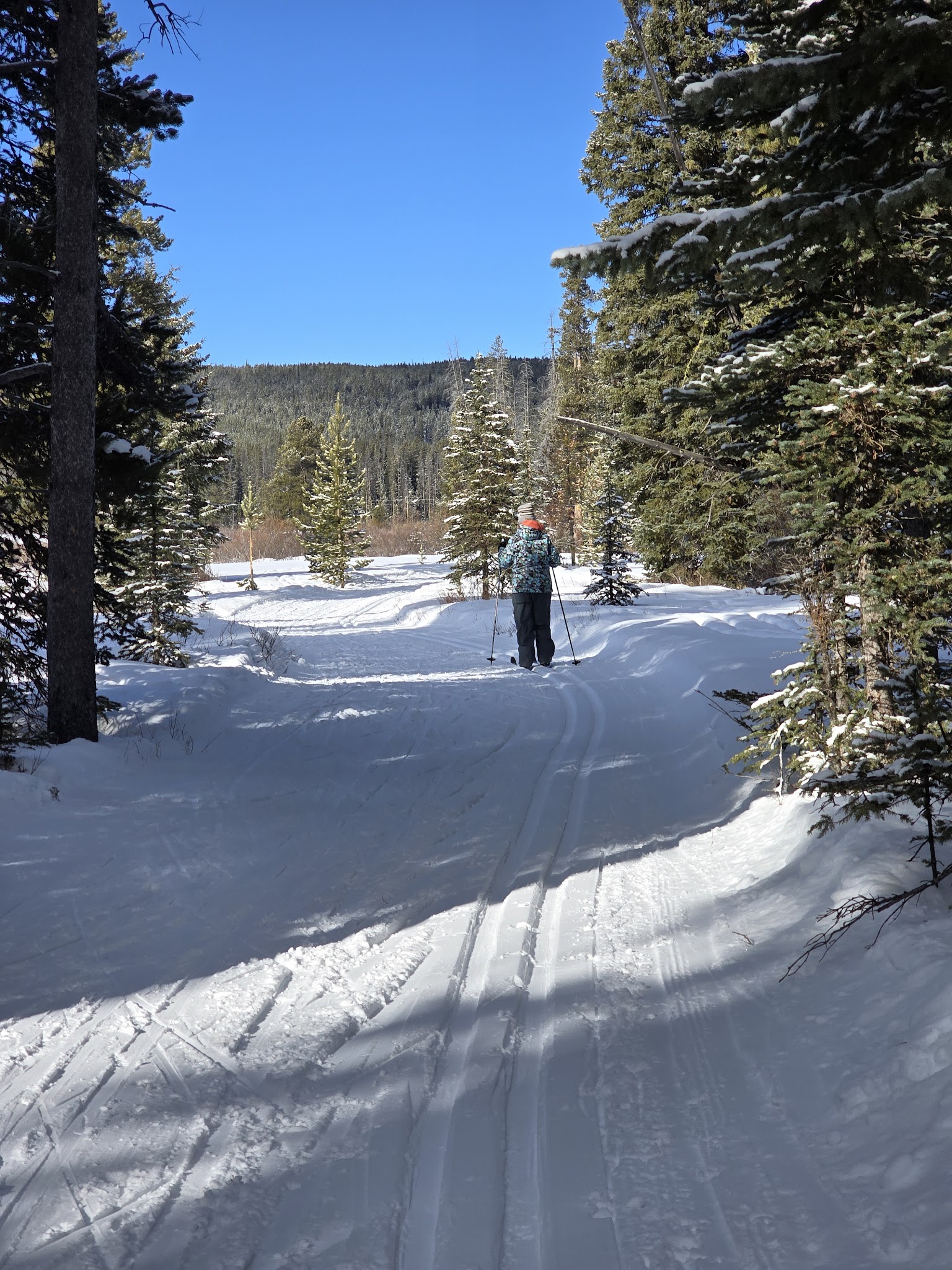 Midway Trailhead - Anaconda, MT