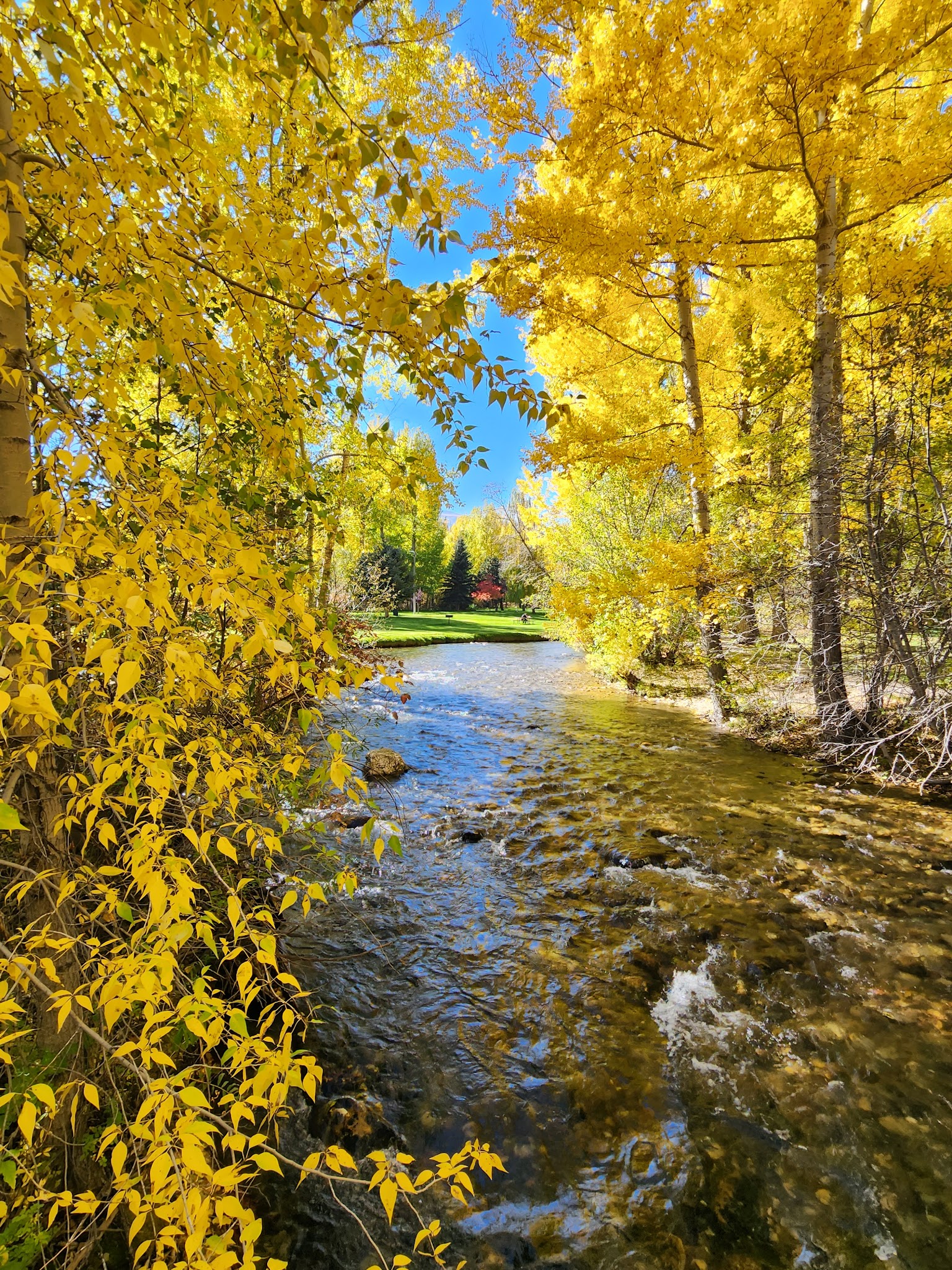 Washoe Park - Anaconda, MT